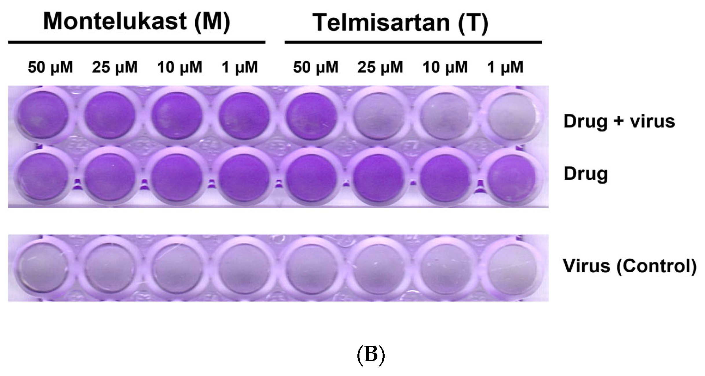Pharmaceutics 15 01891 g010b