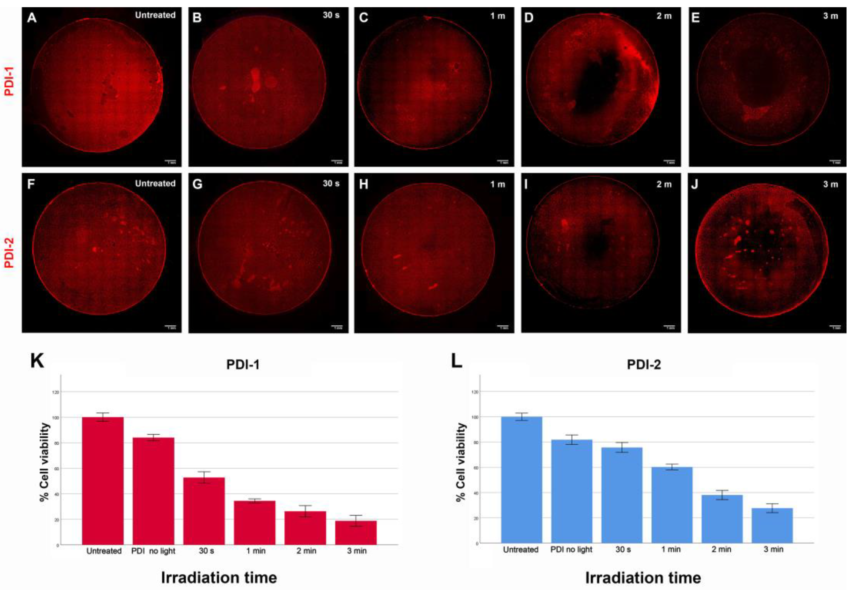 Pharmaceutics 15 01892 g006