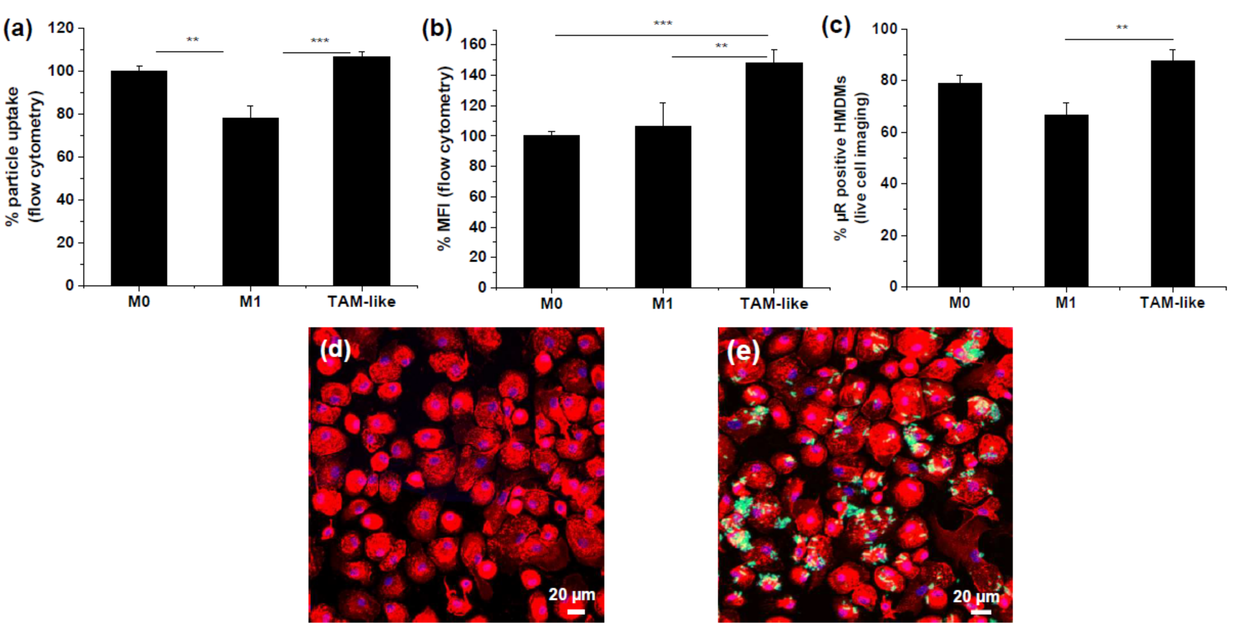 Pharmaceutics 15 01895 g002 Pharmaceutics 15 01895 g002
