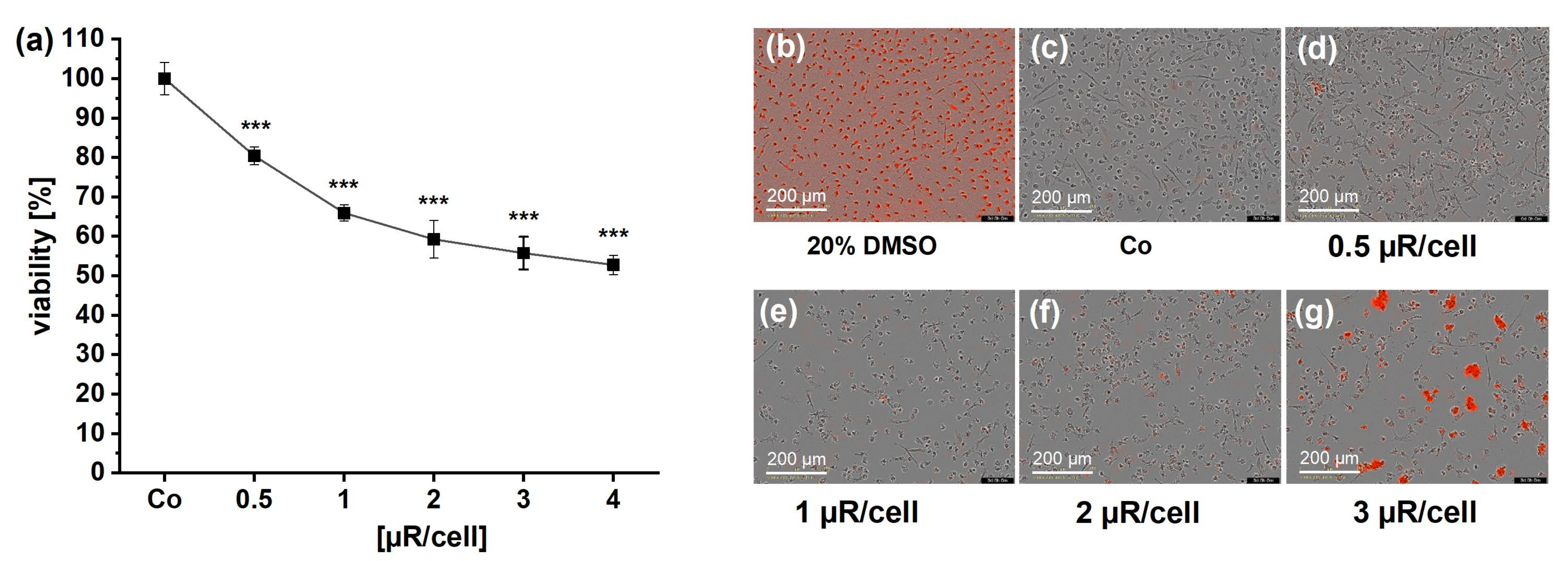 Pharmaceutics 15 01895 g009 Pharmaceutics 15 01895 g009