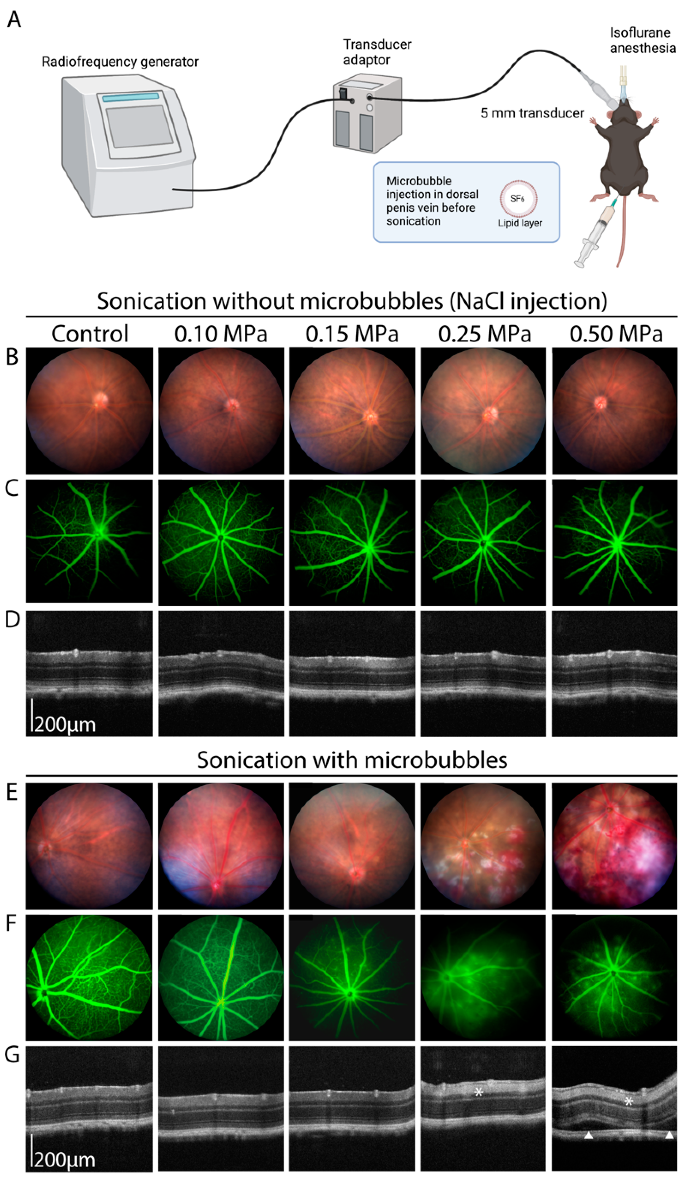 Pharmaceutics 15 01896 g001 Pharmaceutics 15 01896 g001