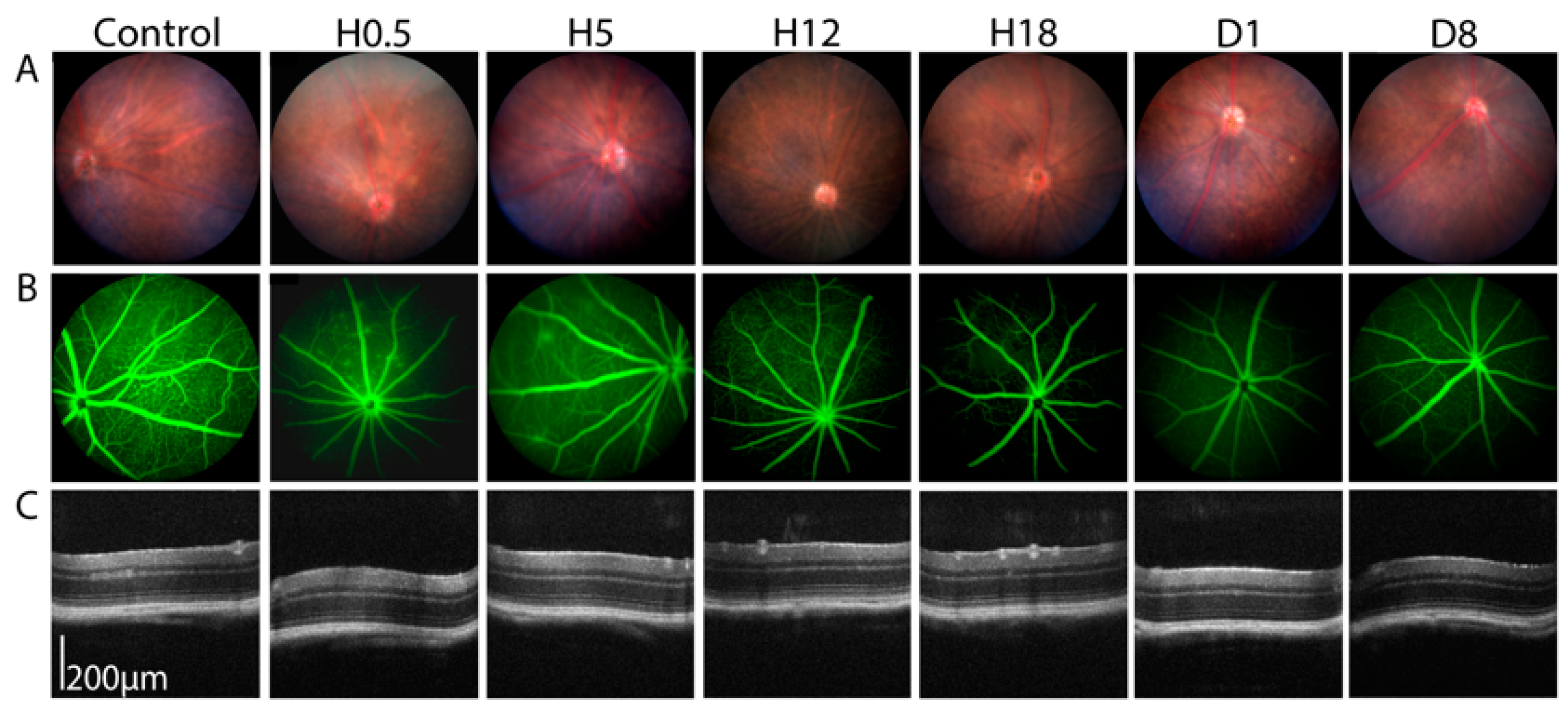 Pharmaceutics 15 01896 g003 Pharmaceutics 15 01896 g003