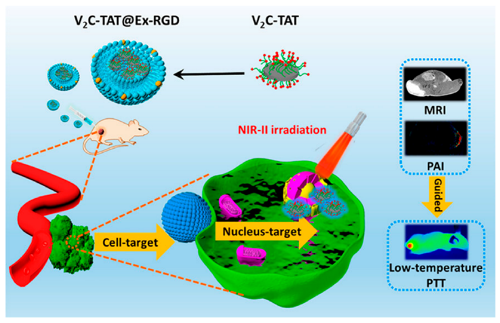 Pharmaceutics 15 01902 g004