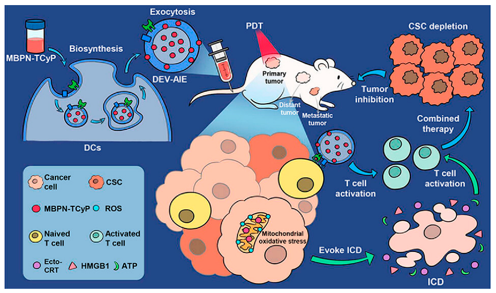 Pharmaceutics 15 01902 g005