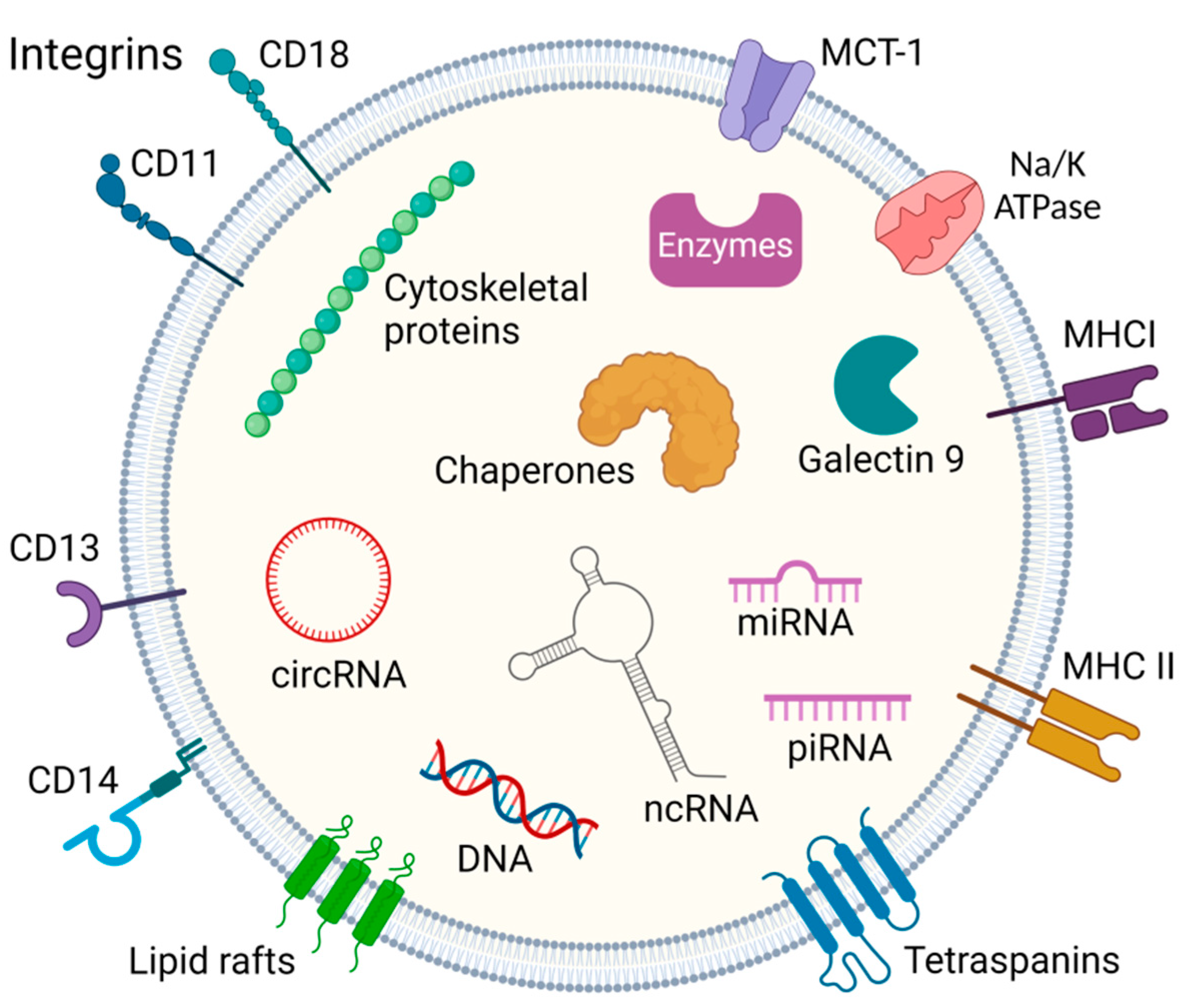 Pharmaceutics 15 01904 g001