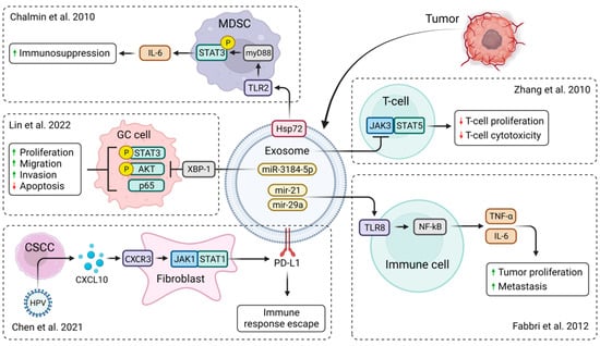 Pharmaceutics 15 01904 g002