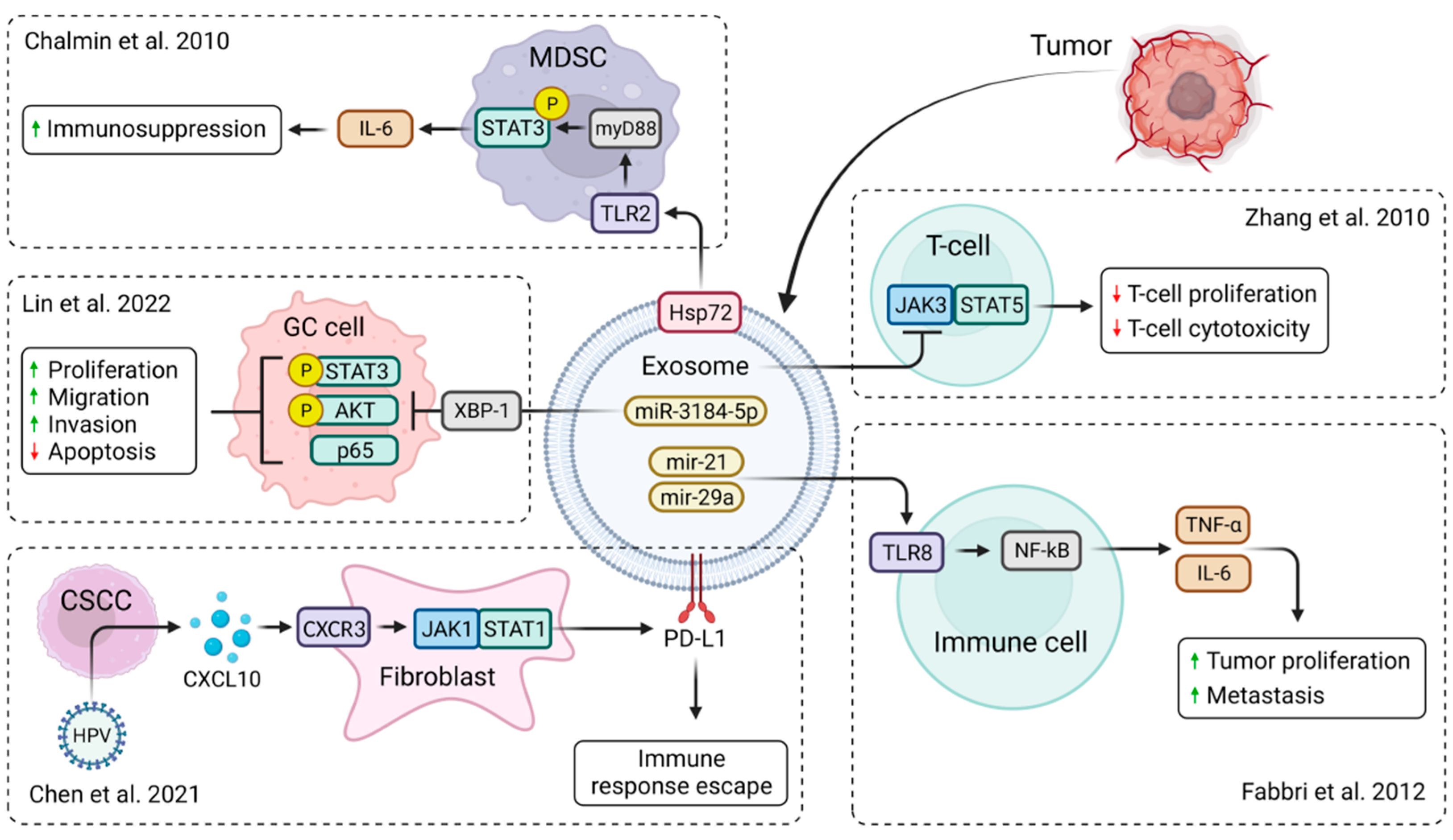 Pharmaceutics 15 01904 g002