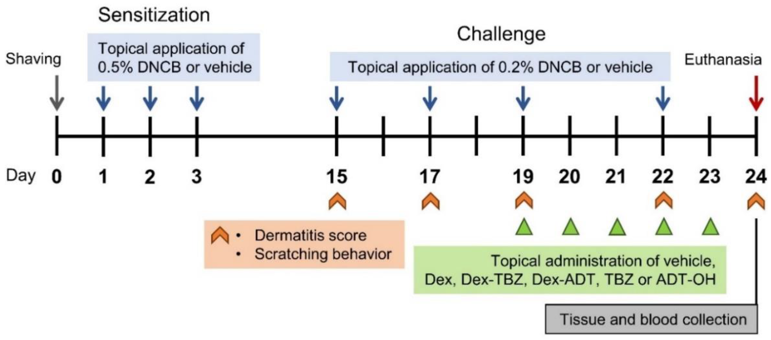 Pharmaceutics 15 01907 g002
