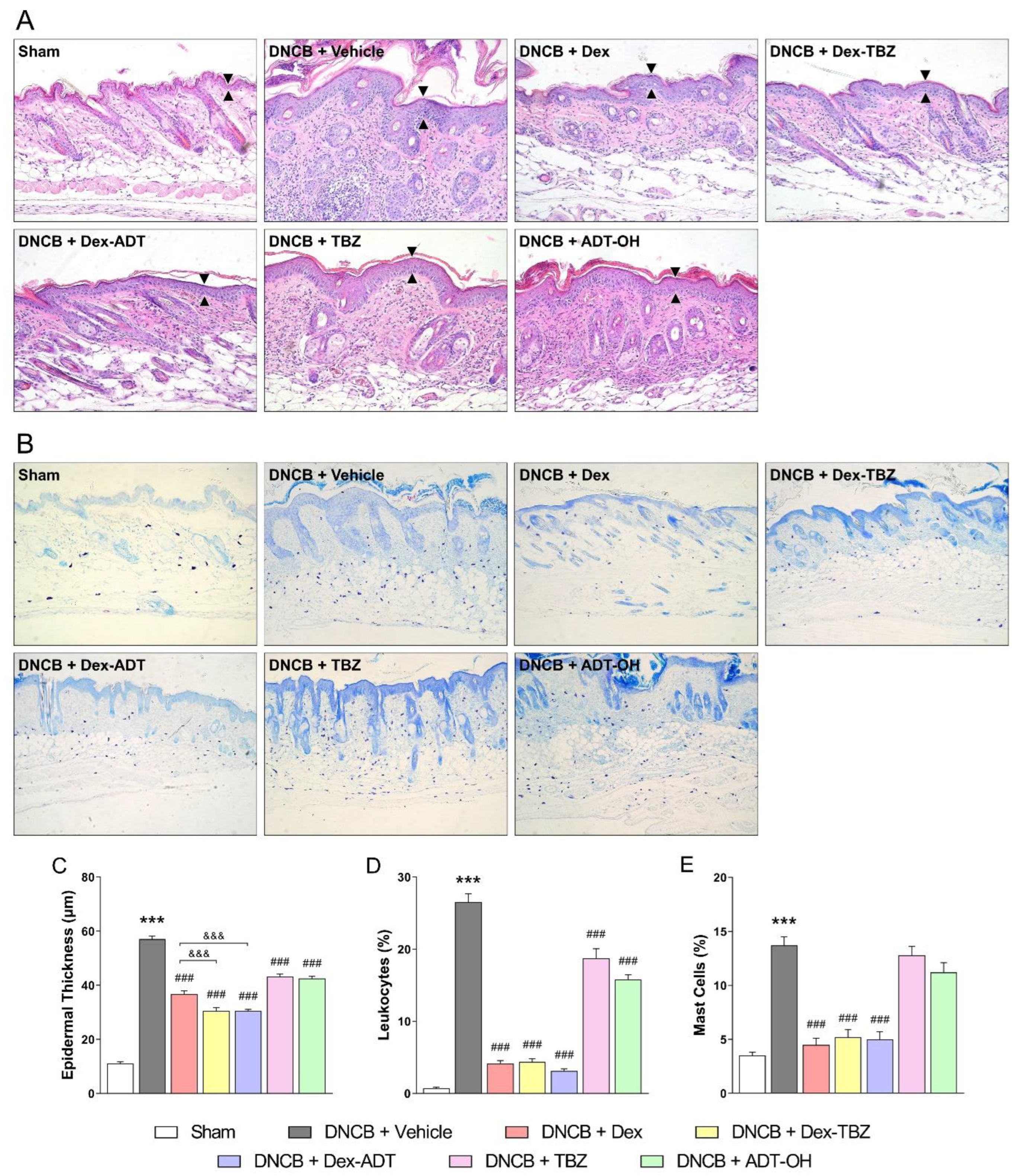 Pharmaceutics 15 01907 g004