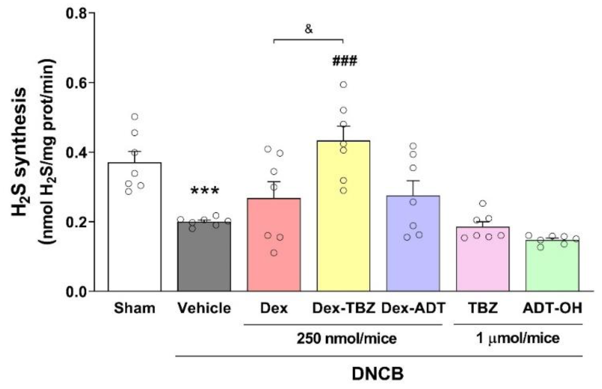 Pharmaceutics 15 01907 g007