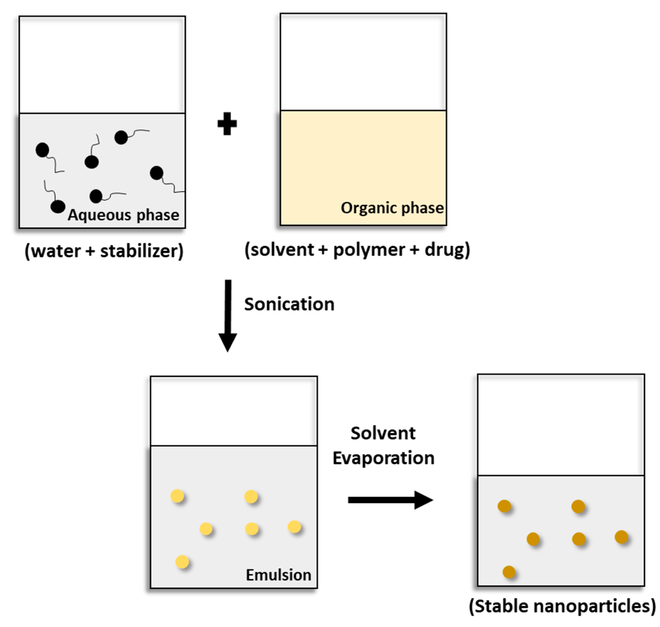 Pharmaceutics 15 01908 g005