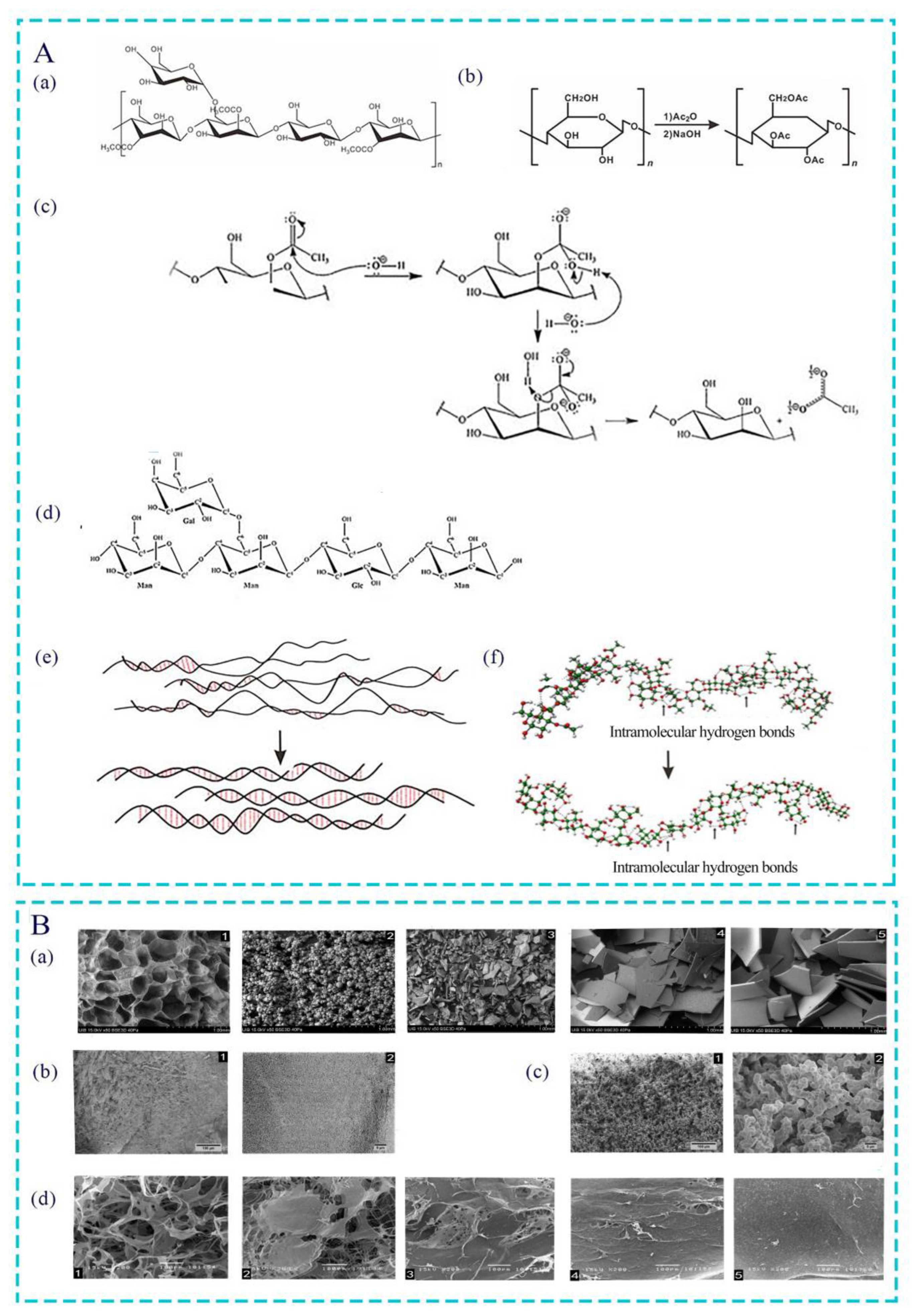 Pharmaceutics 15 01913 g001