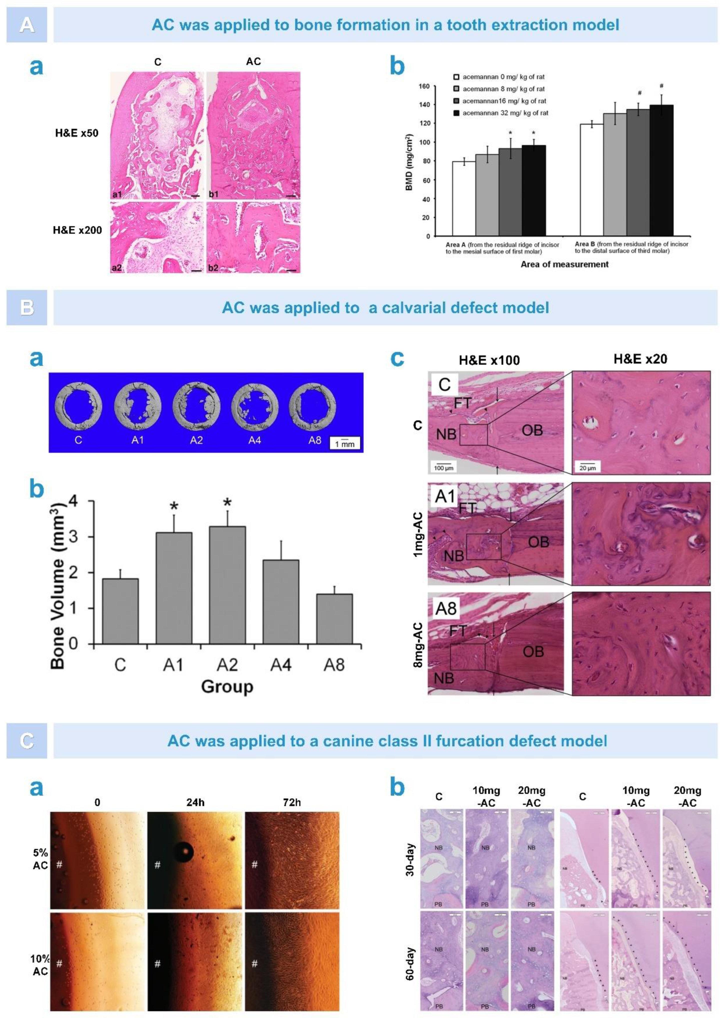 Pharmaceutics 15 01913 g006