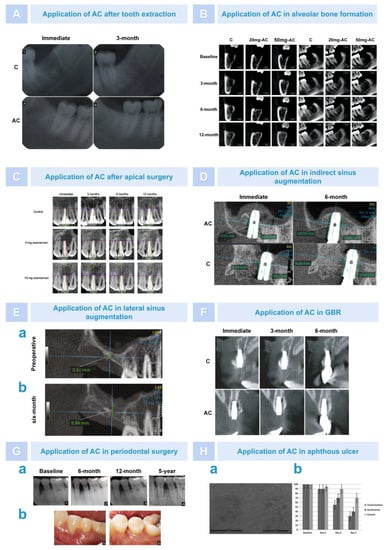 Pharmaceutics 15 01913 g010