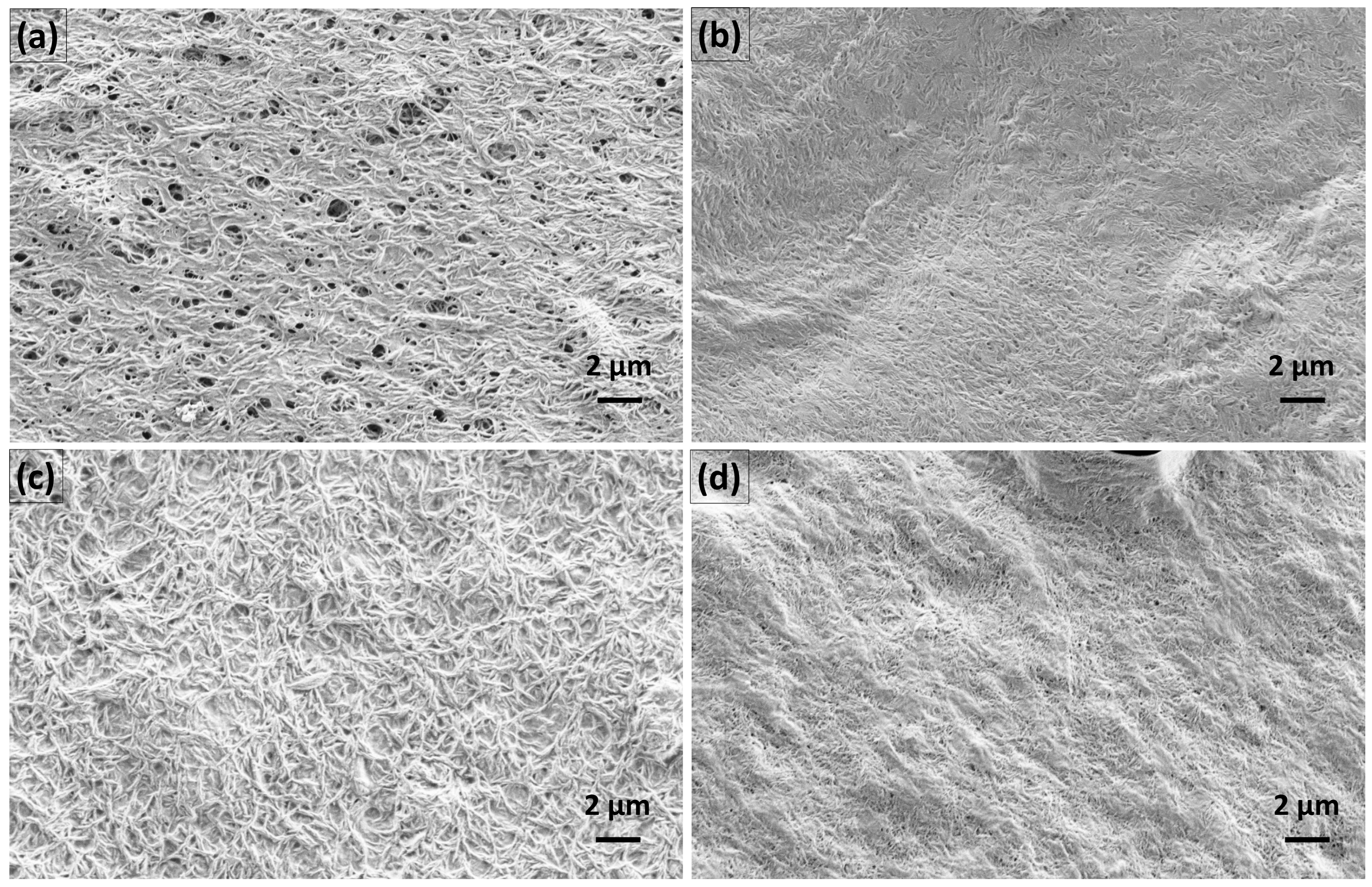 Pharmaceutics 15 01918 g015