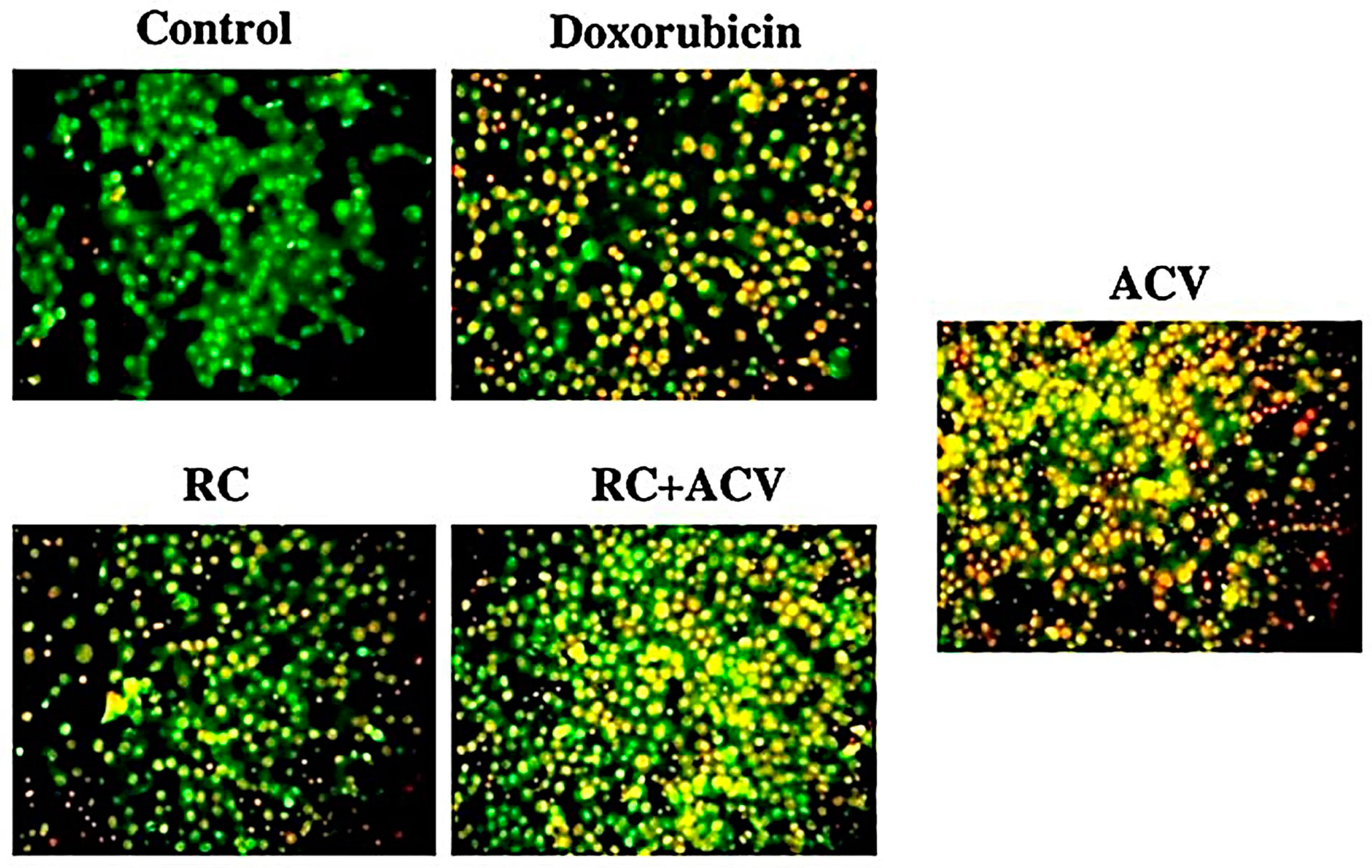 Pharmaceutics 15 01919 g013