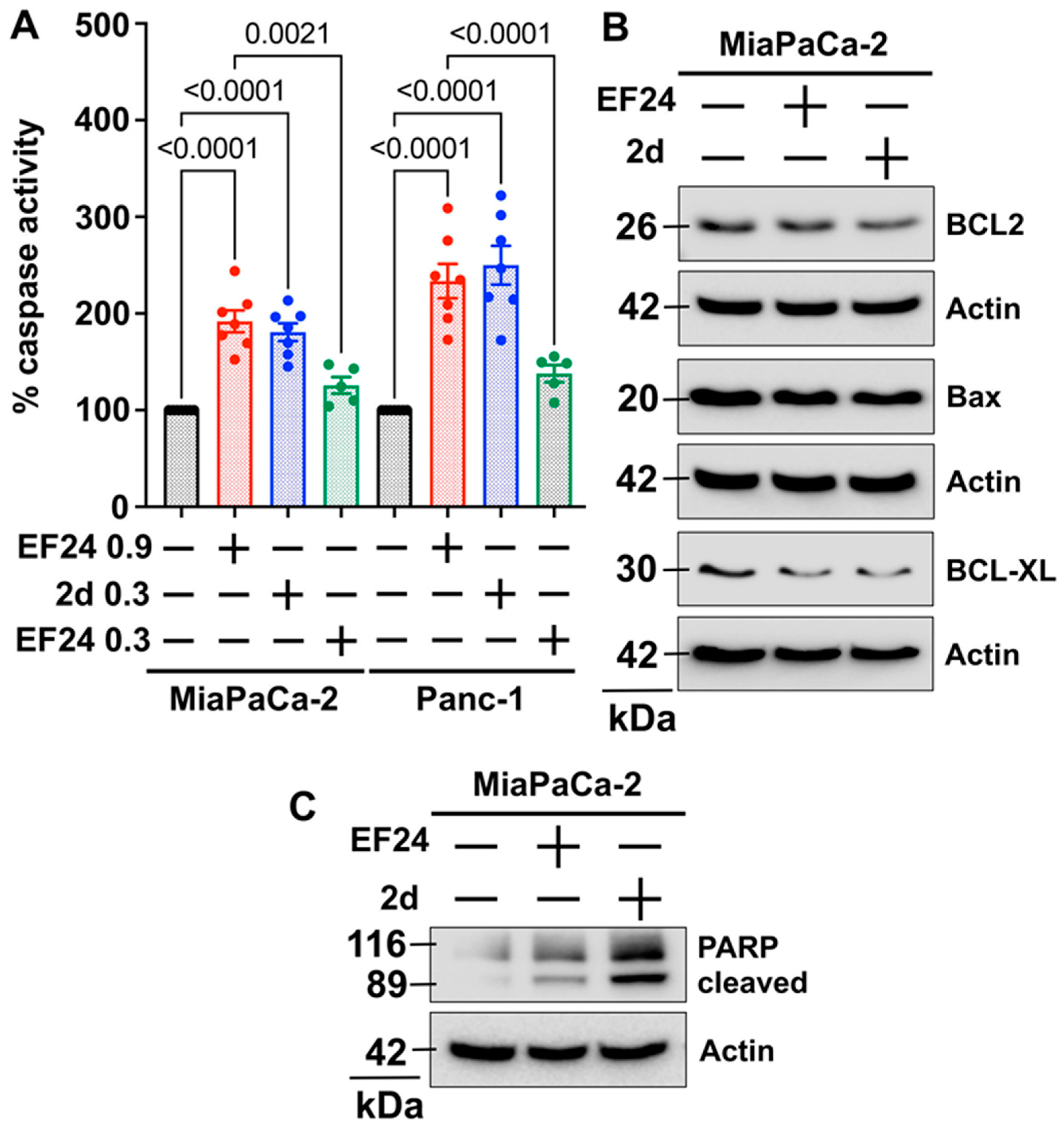 Pharmaceutics 15 01921 g003