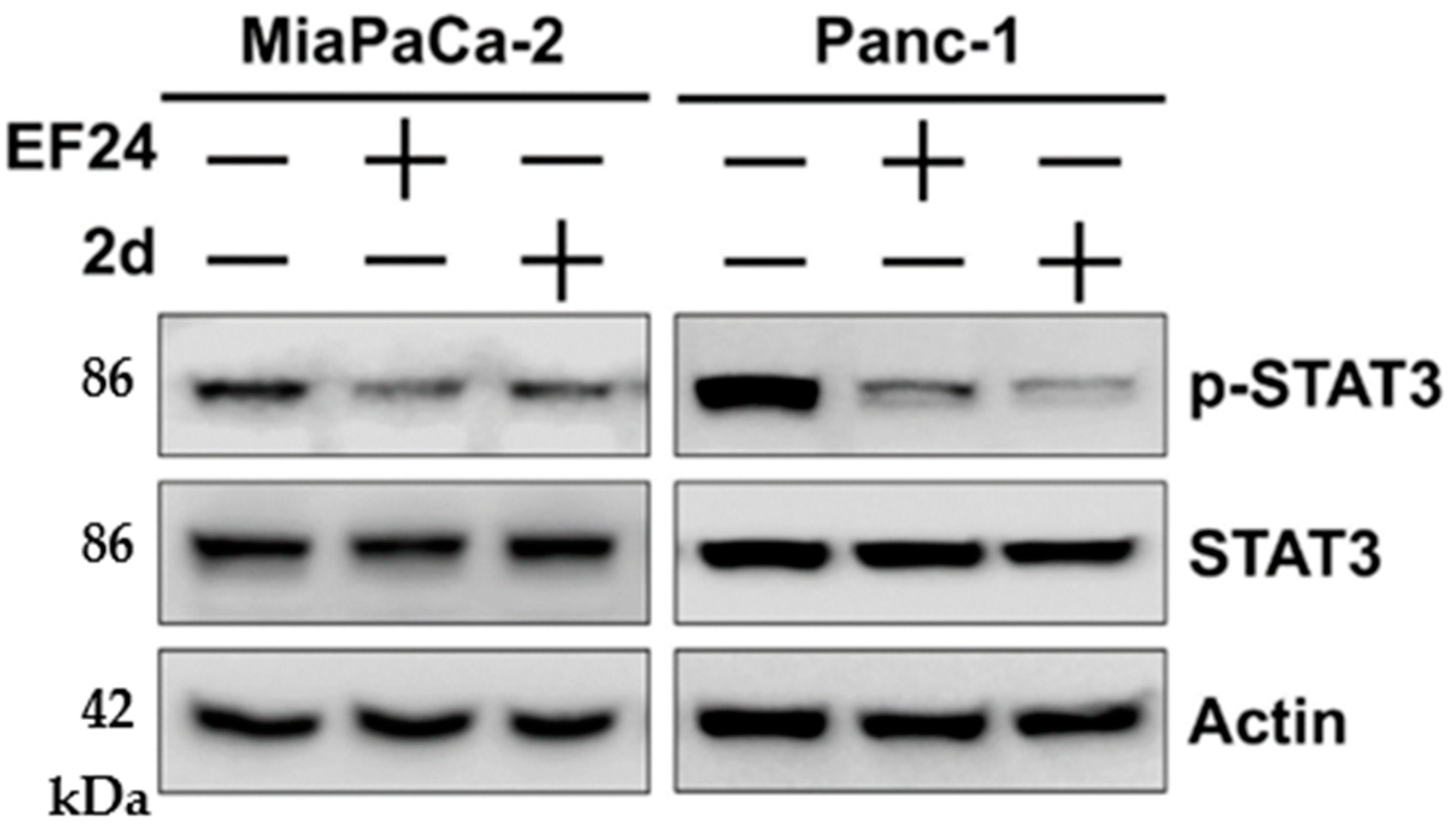 Pharmaceutics 15 01921 g004