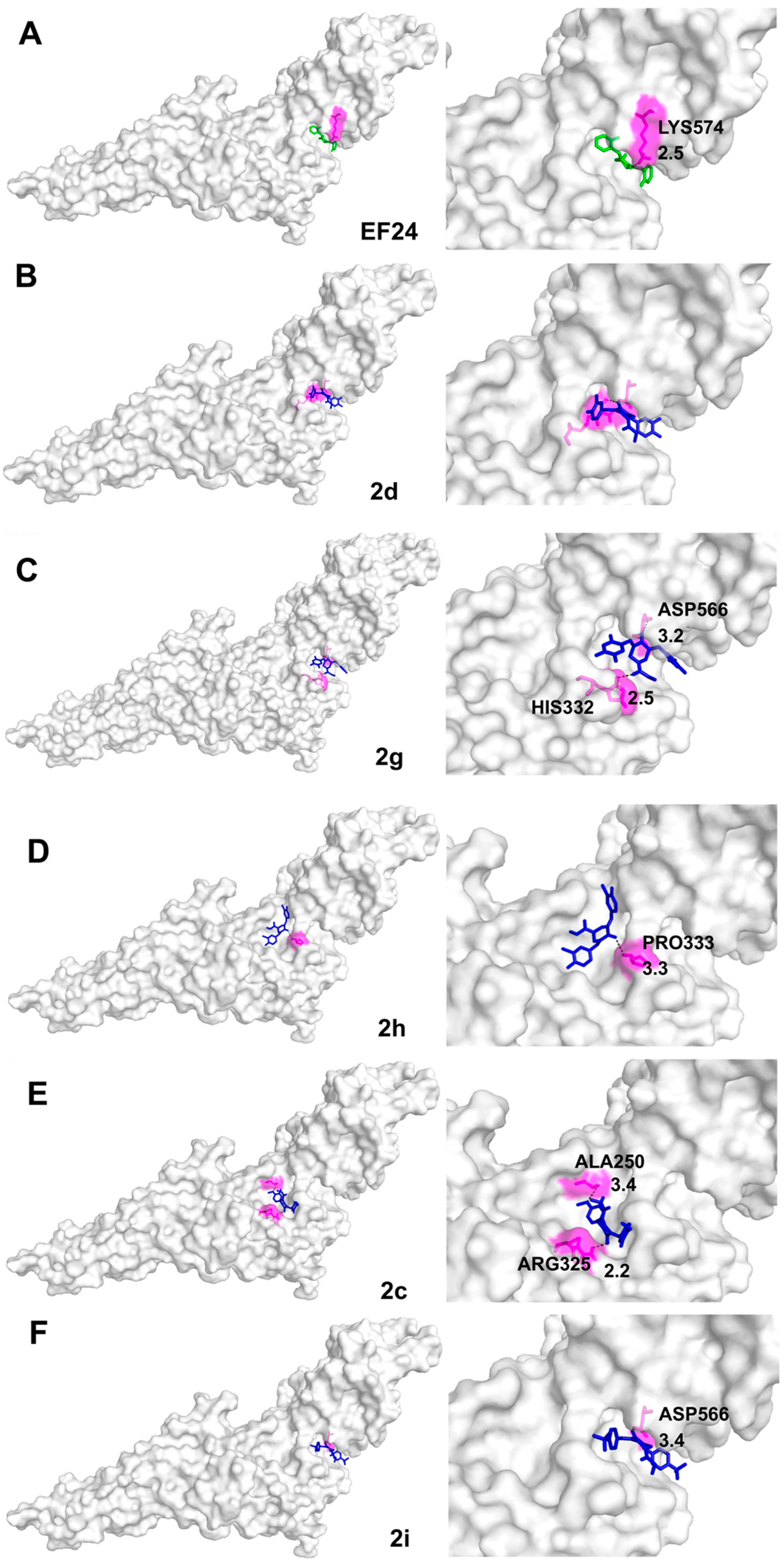 Pharmaceutics 15 01921 g005