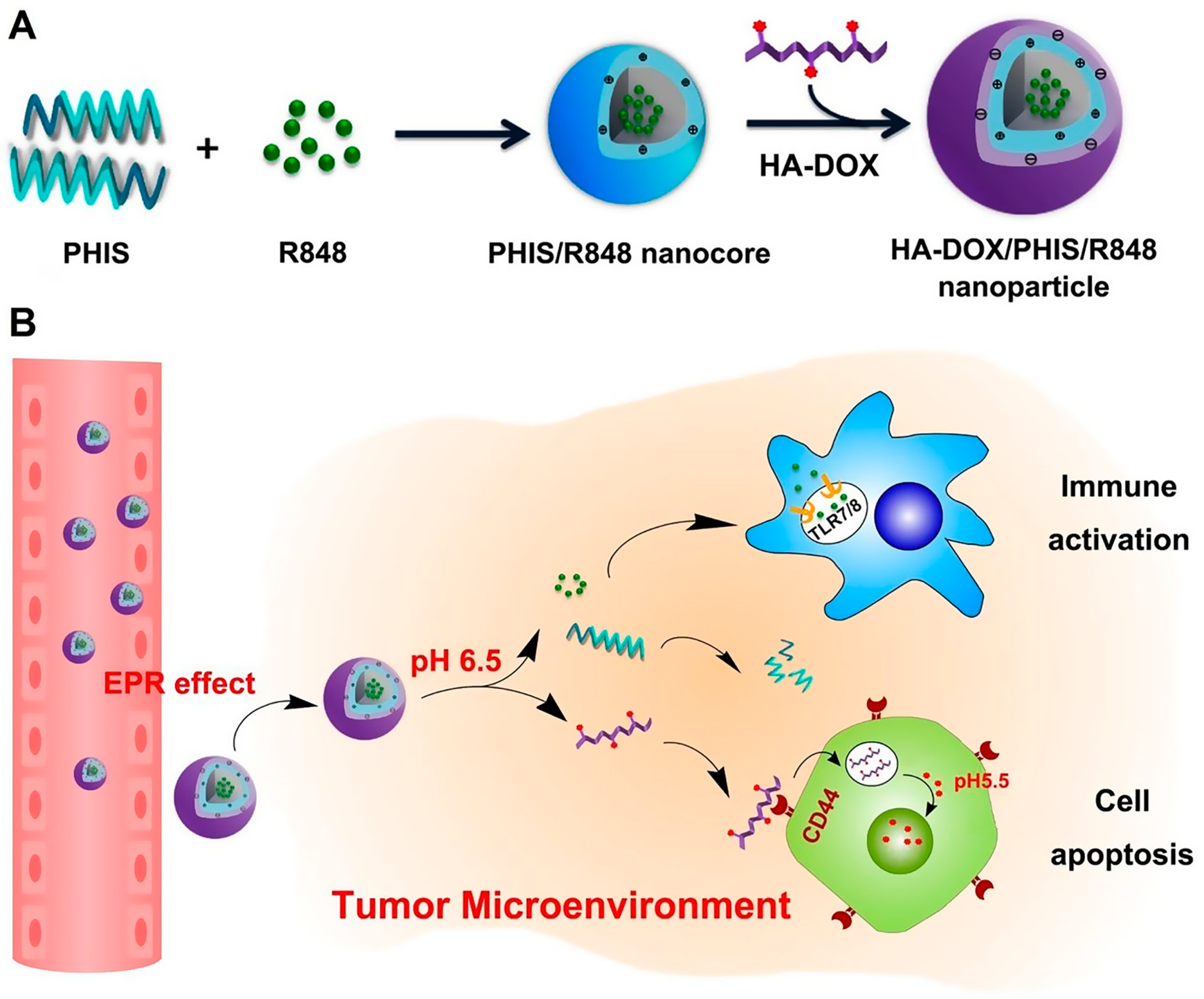 Pharmaceutics 15 01928 sch002