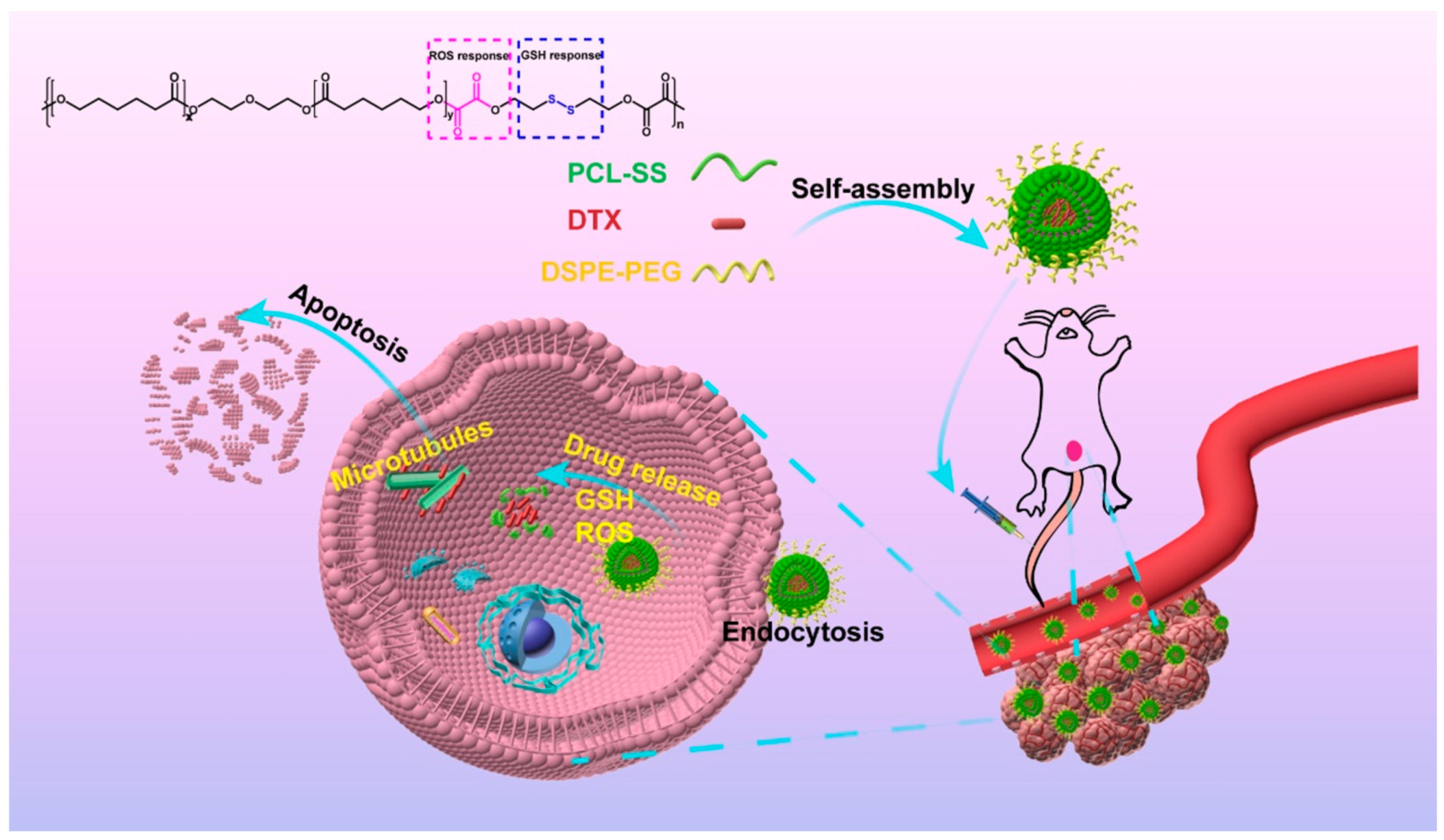 Pharmaceutics 15 01928 sch003