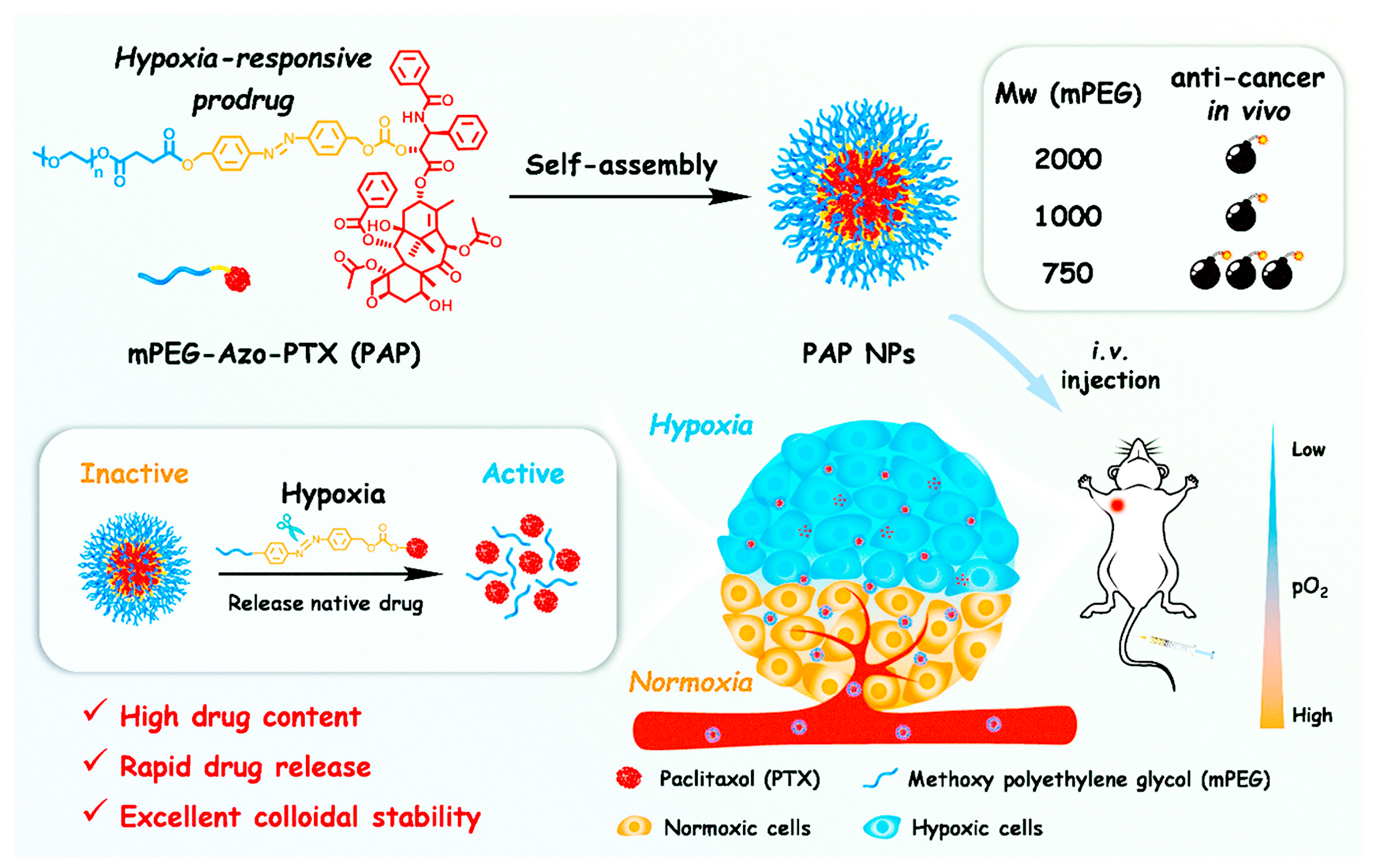 Pharmaceutics 15 01928 sch005