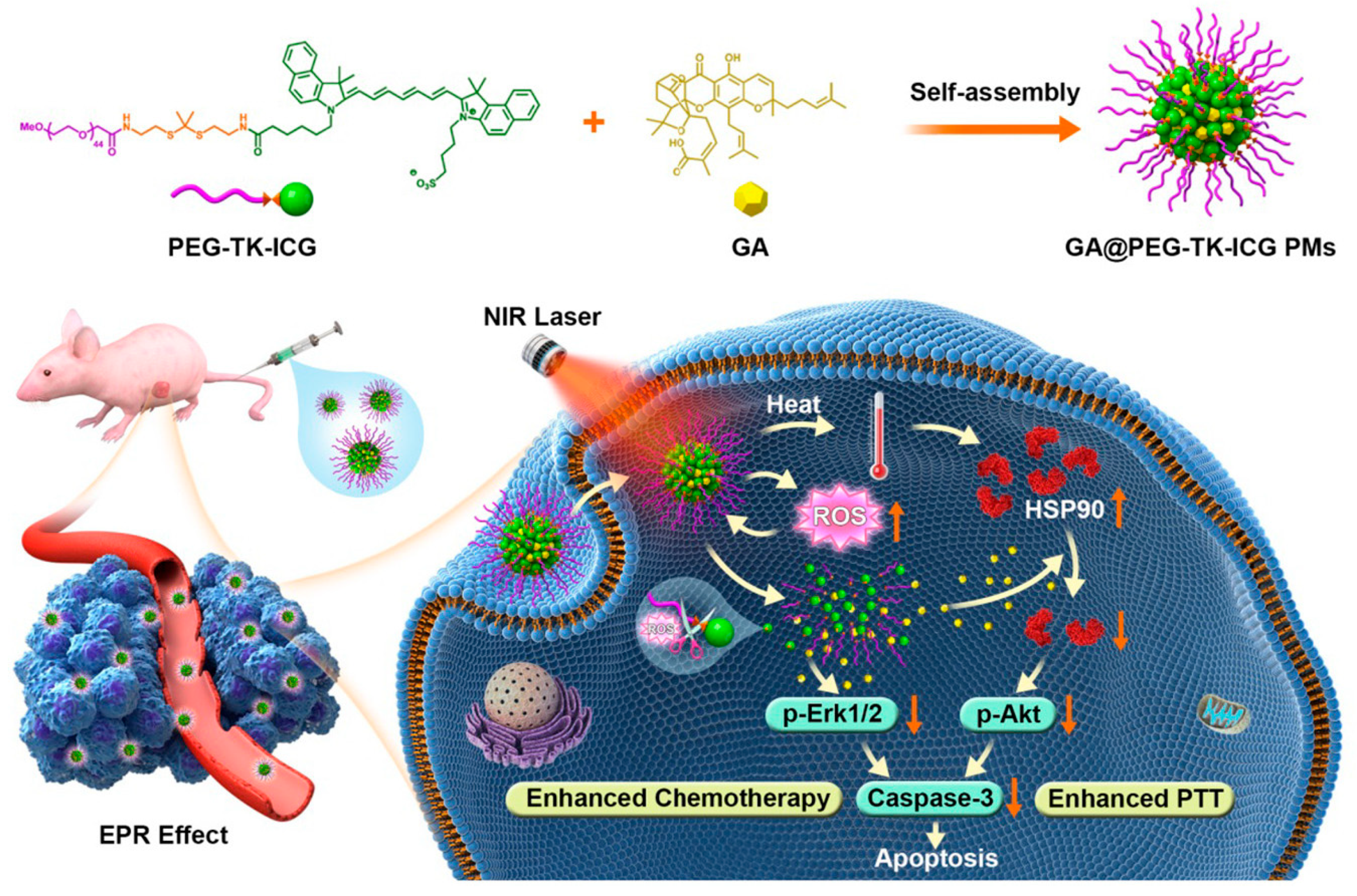 Pharmaceutics 15 01928 sch006