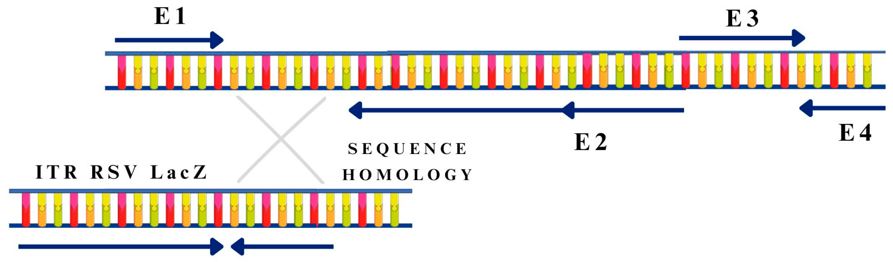 Pharmaceutics 15 01931 g003 Pharmaceutics 15 01931 g003