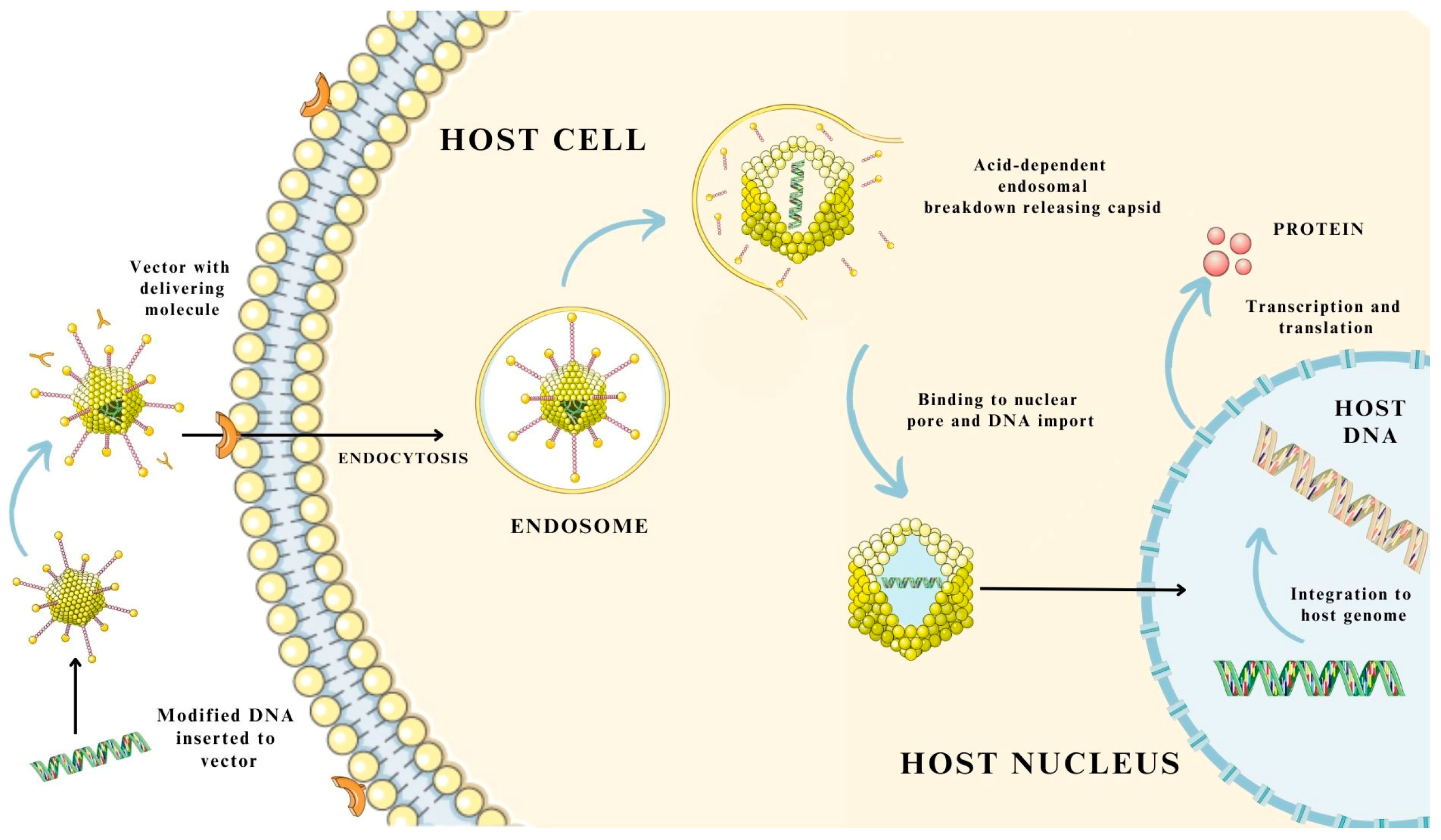 Pharmaceutics 15 01931 g004 Pharmaceutics 15 01931 g004
