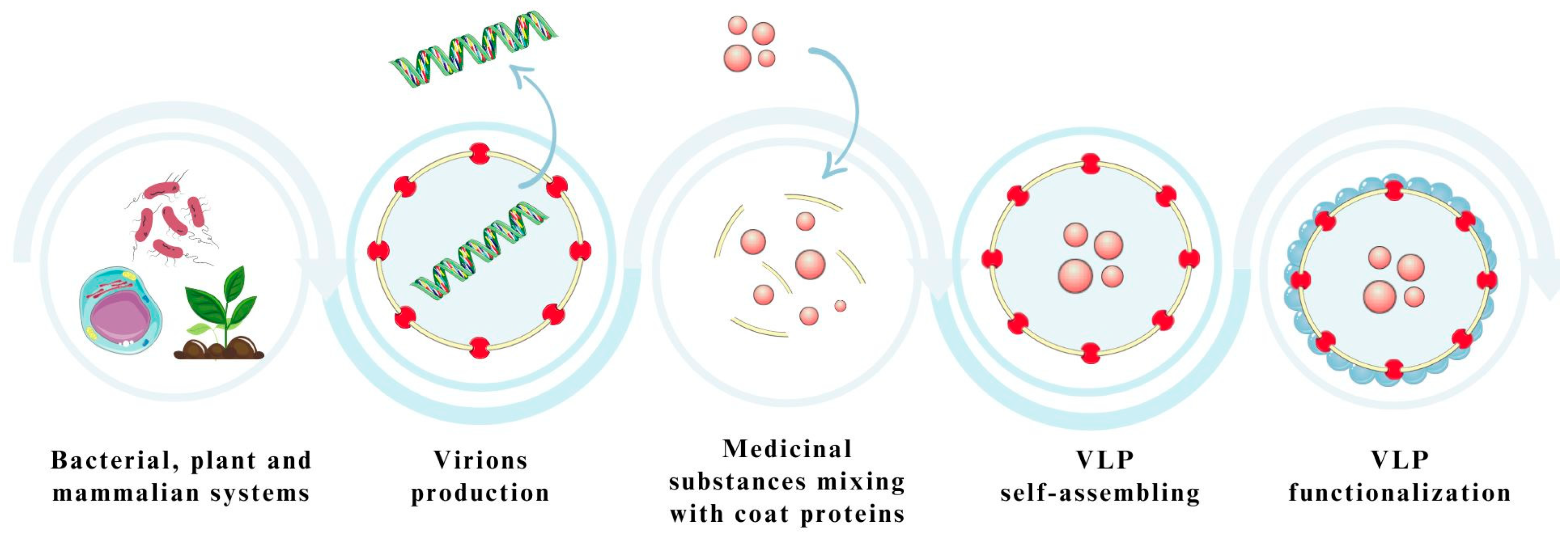 Pharmaceutics 15 01931 g006 Pharmaceutics 15 01931 g006