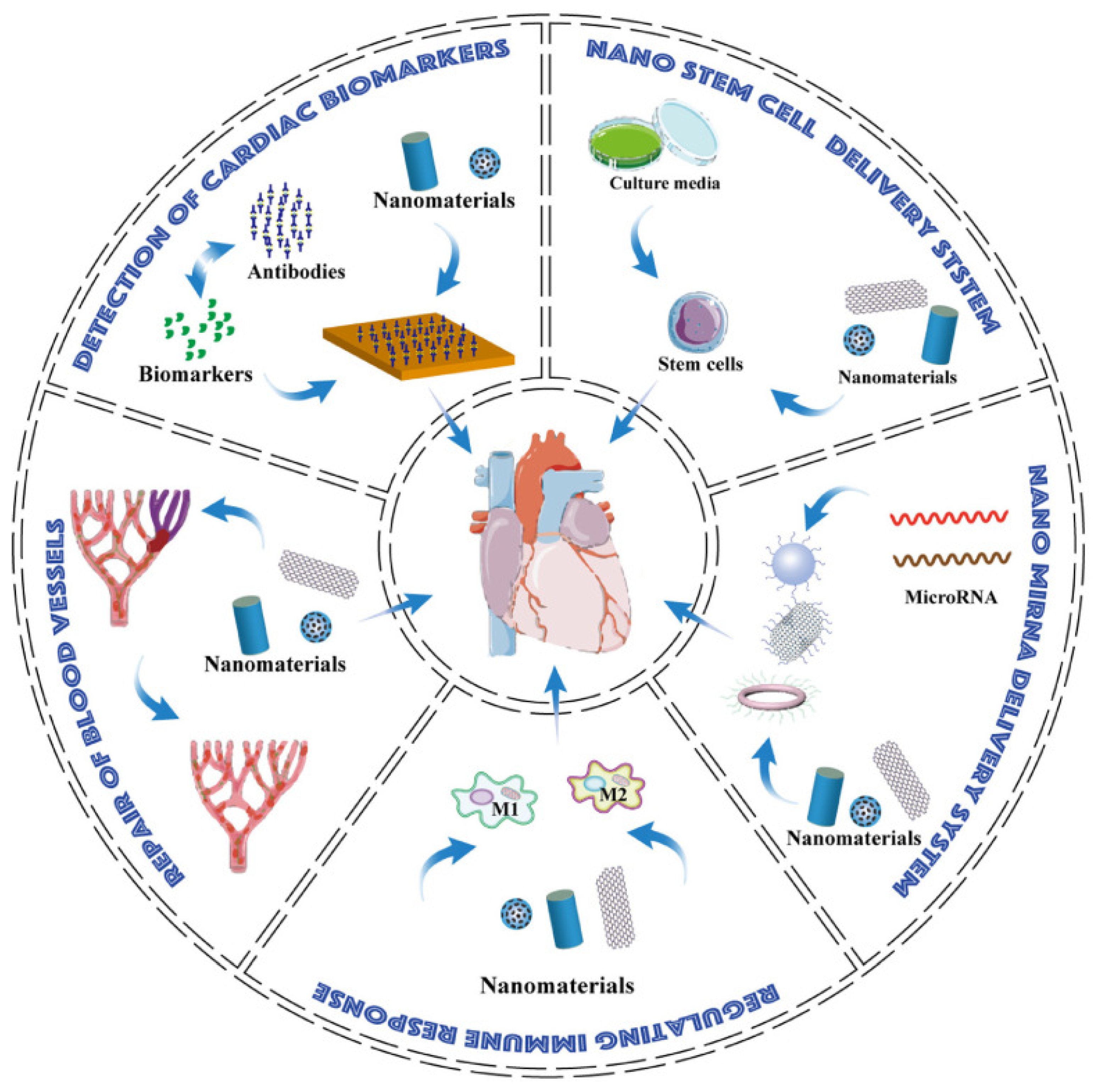 Pharmaceutics 15 01935 g003 Pharmaceutics 15 01935 g003