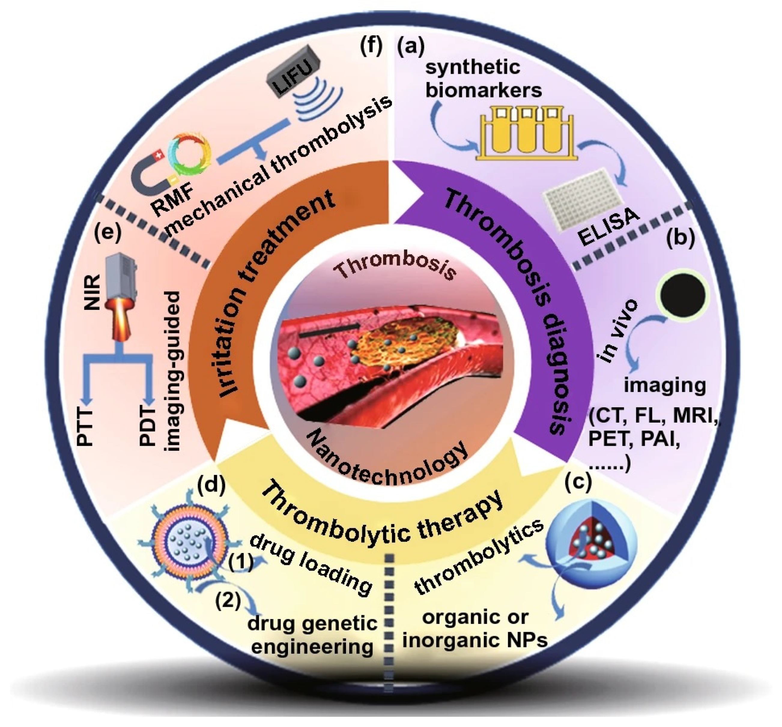 Pharmaceutics 15 01935 g004 Pharmaceutics 15 01935 g004