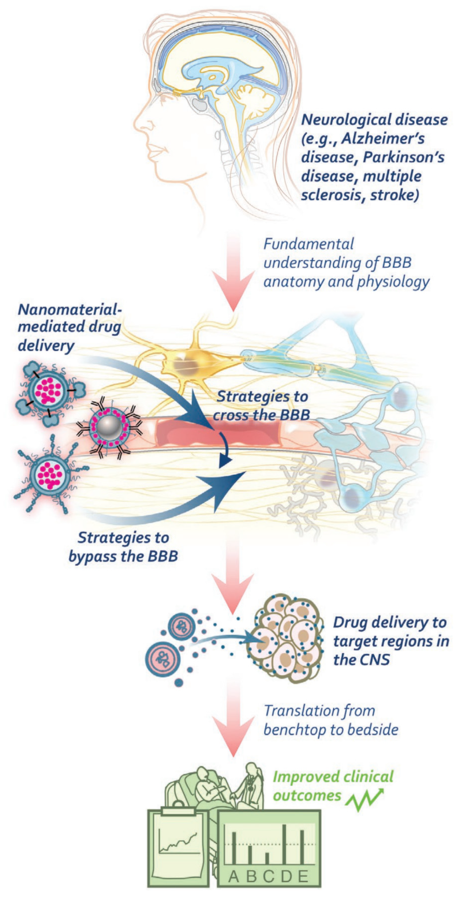 Pharmaceutics 15 01935 g005 Pharmaceutics 15 01935 g005