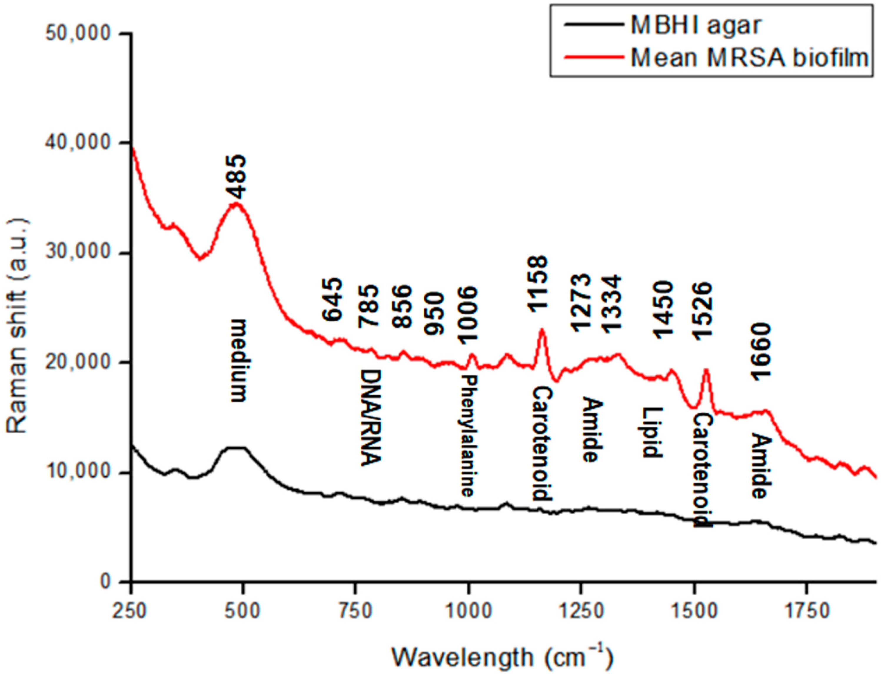 Pharmaceutics 15 01937 g001