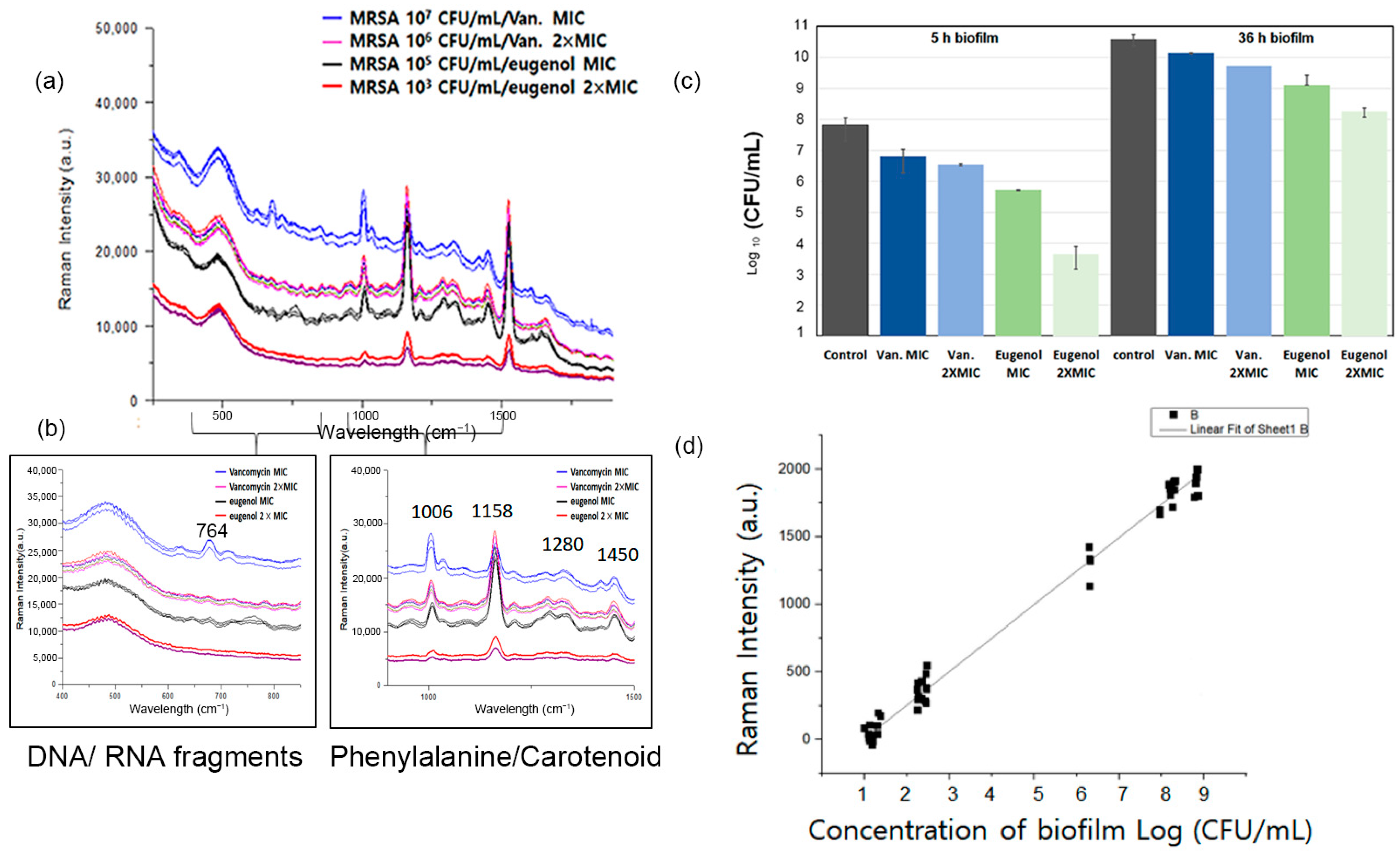 Pharmaceutics 15 01937 g005