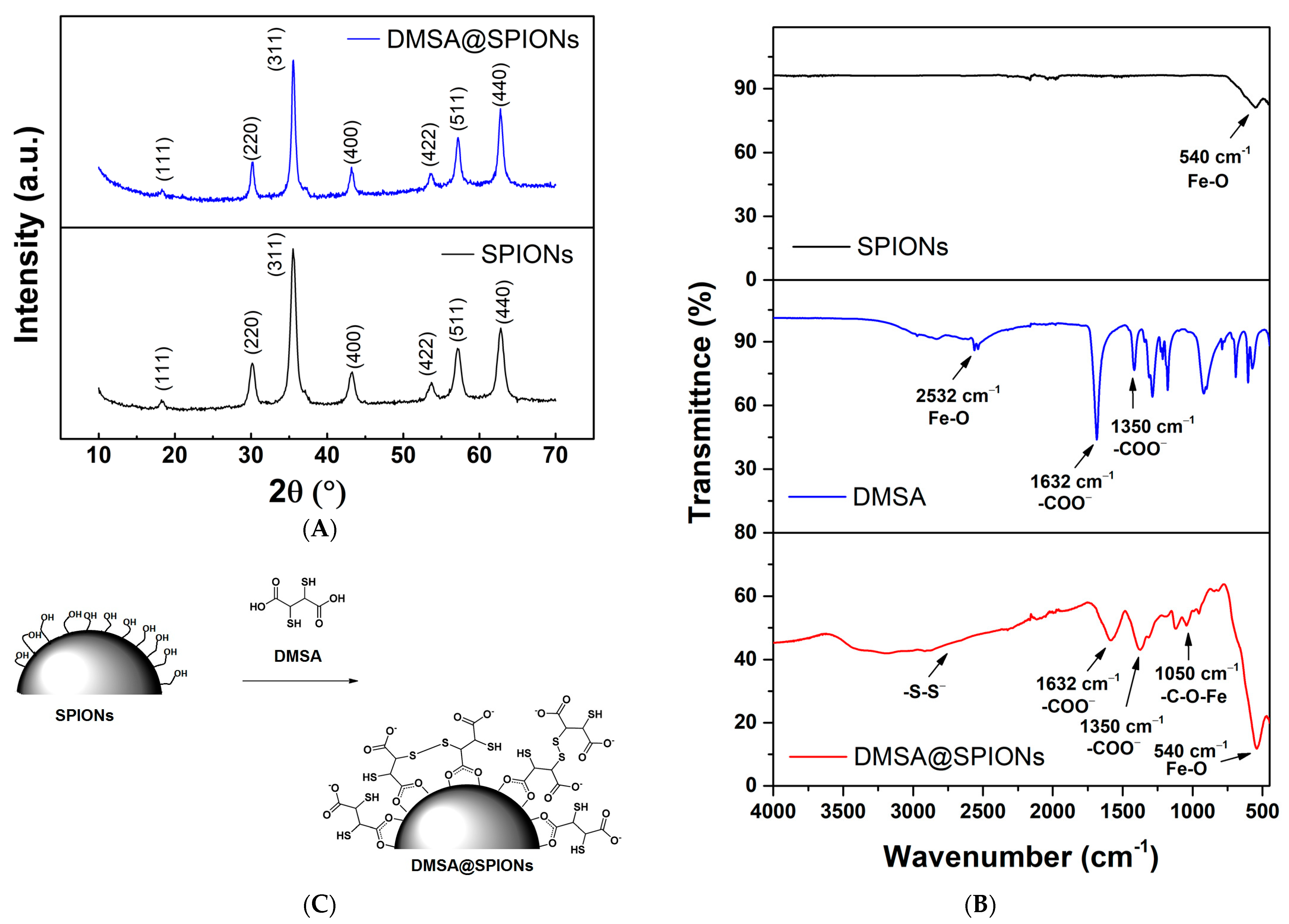 Pharmaceutics 15 01943 g002