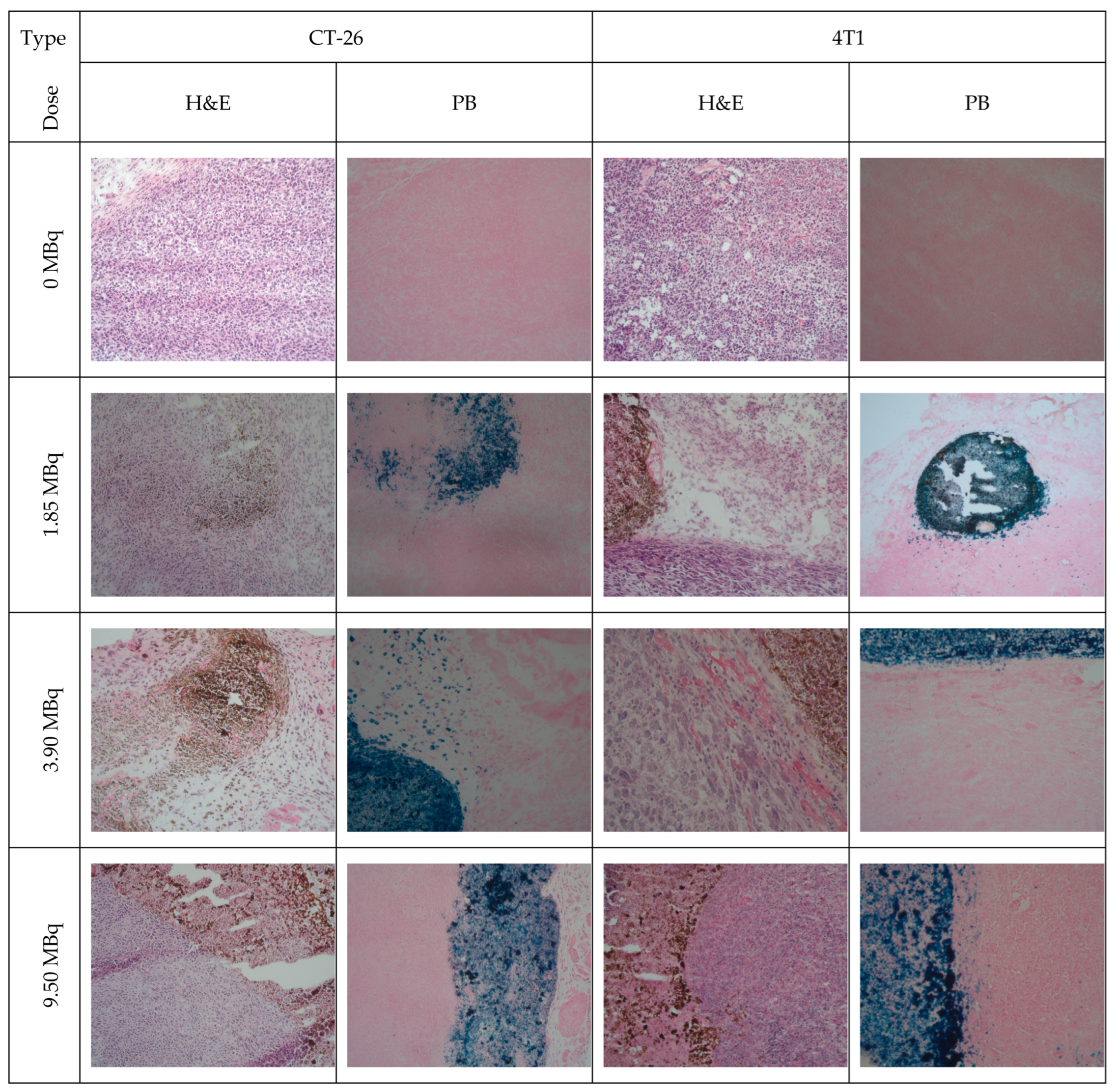 Pharmaceutics 15 01943 g008