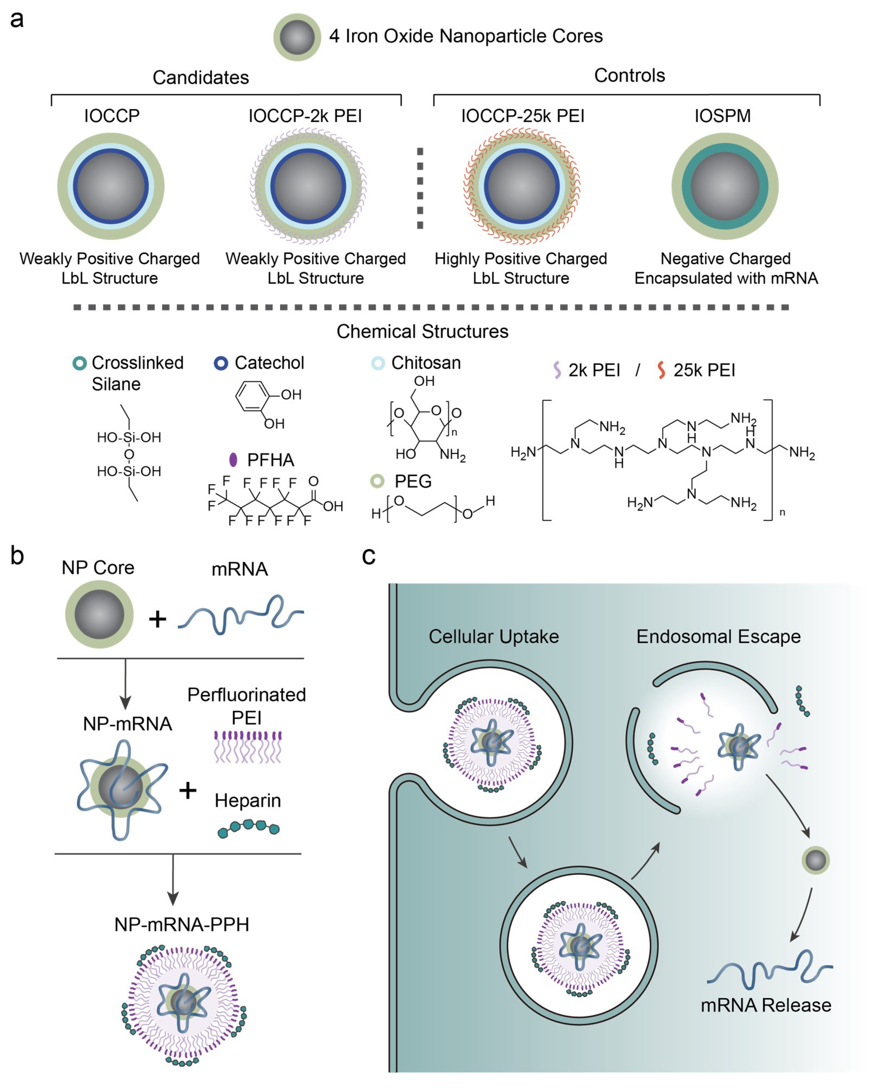 Pharmaceutics 15 01946 g001