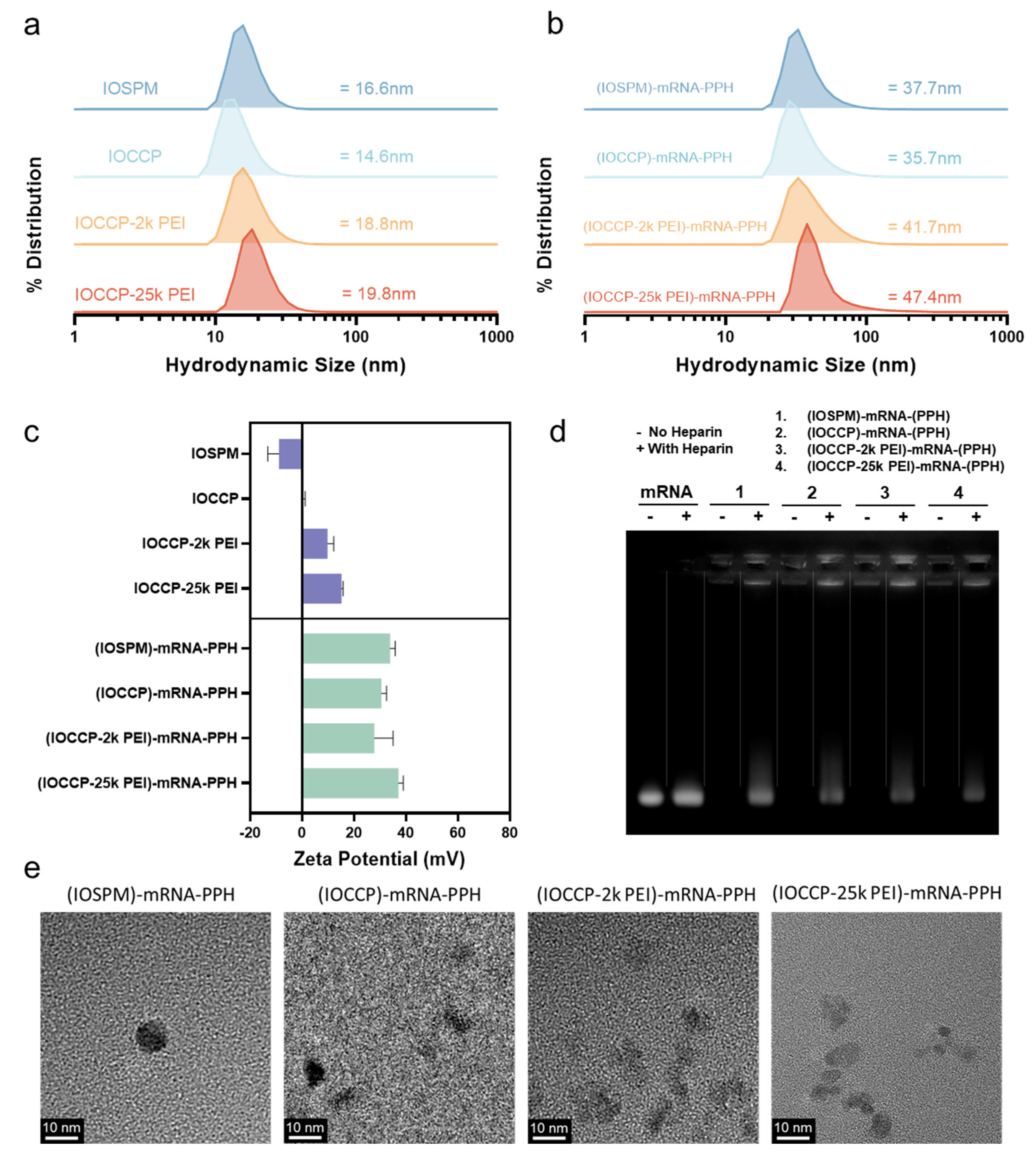 Pharmaceutics 15 01946 g002