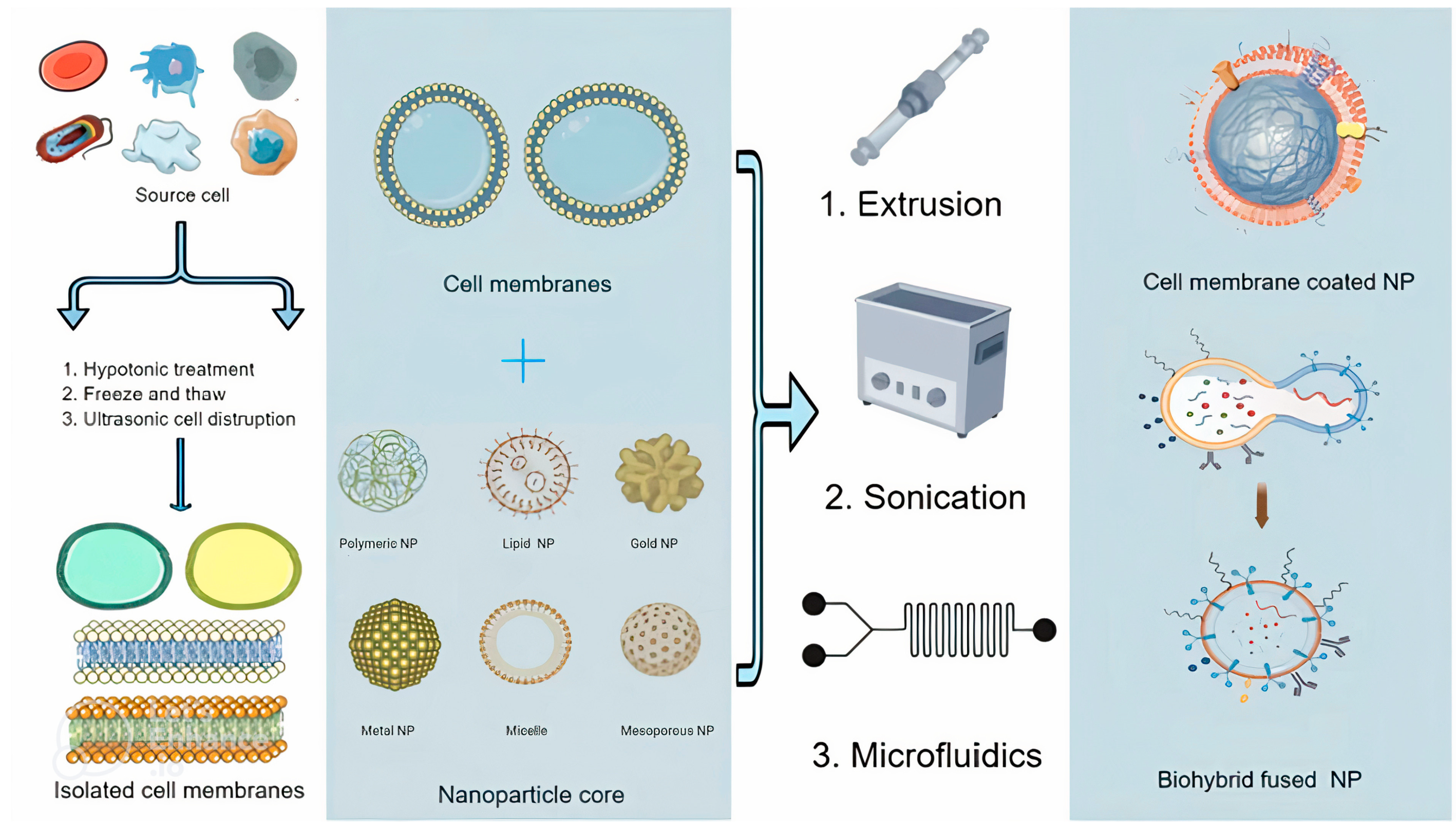 Pharmaceutics 15 01953 g001