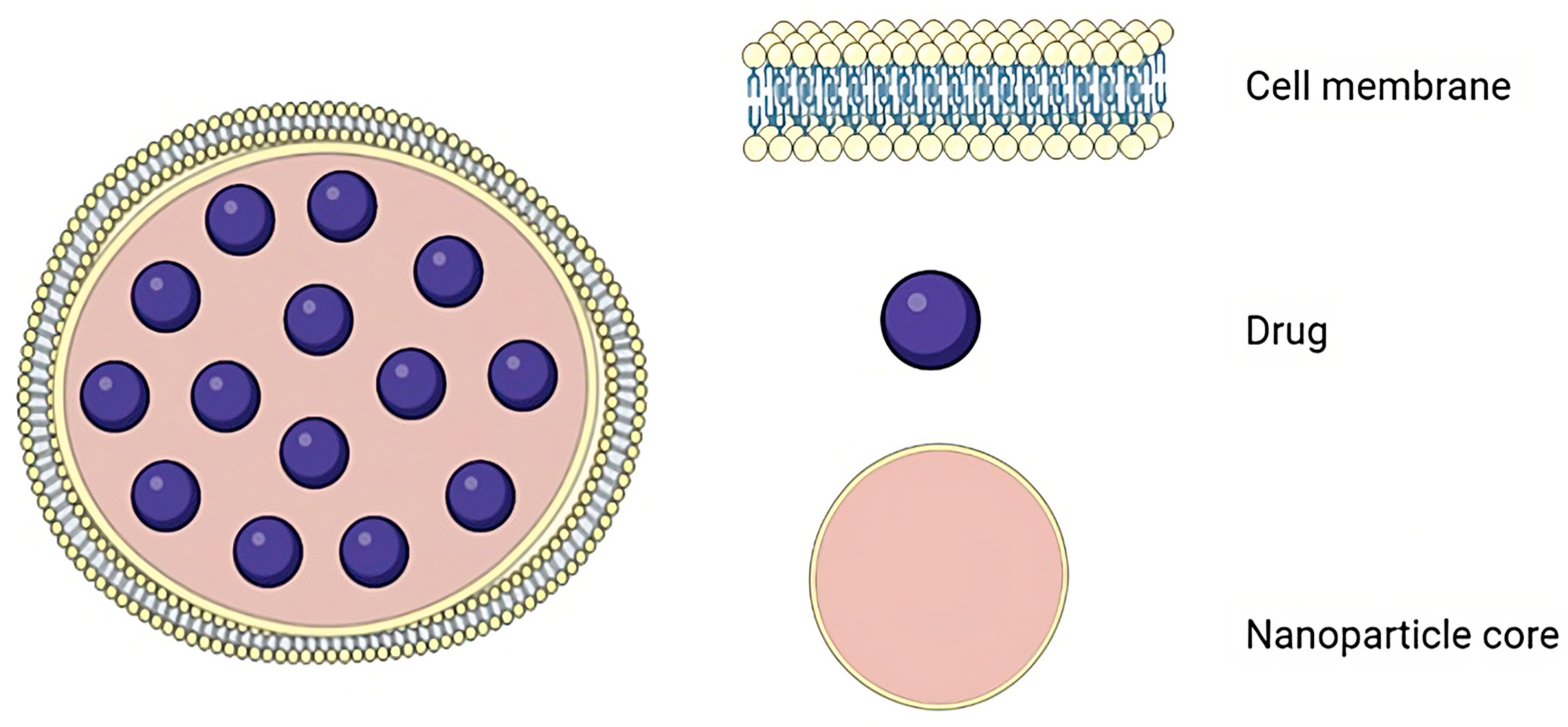 Pharmaceutics 15 01953 g002