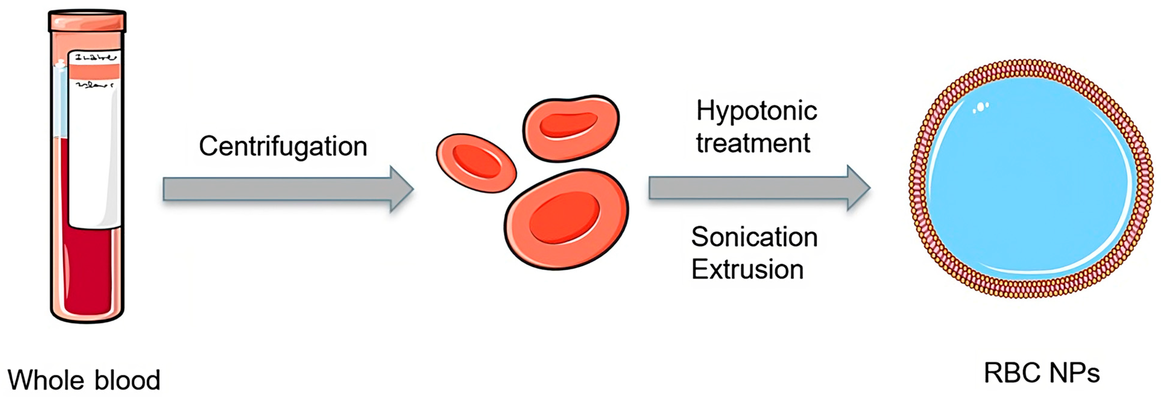 Pharmaceutics 15 01953 g004