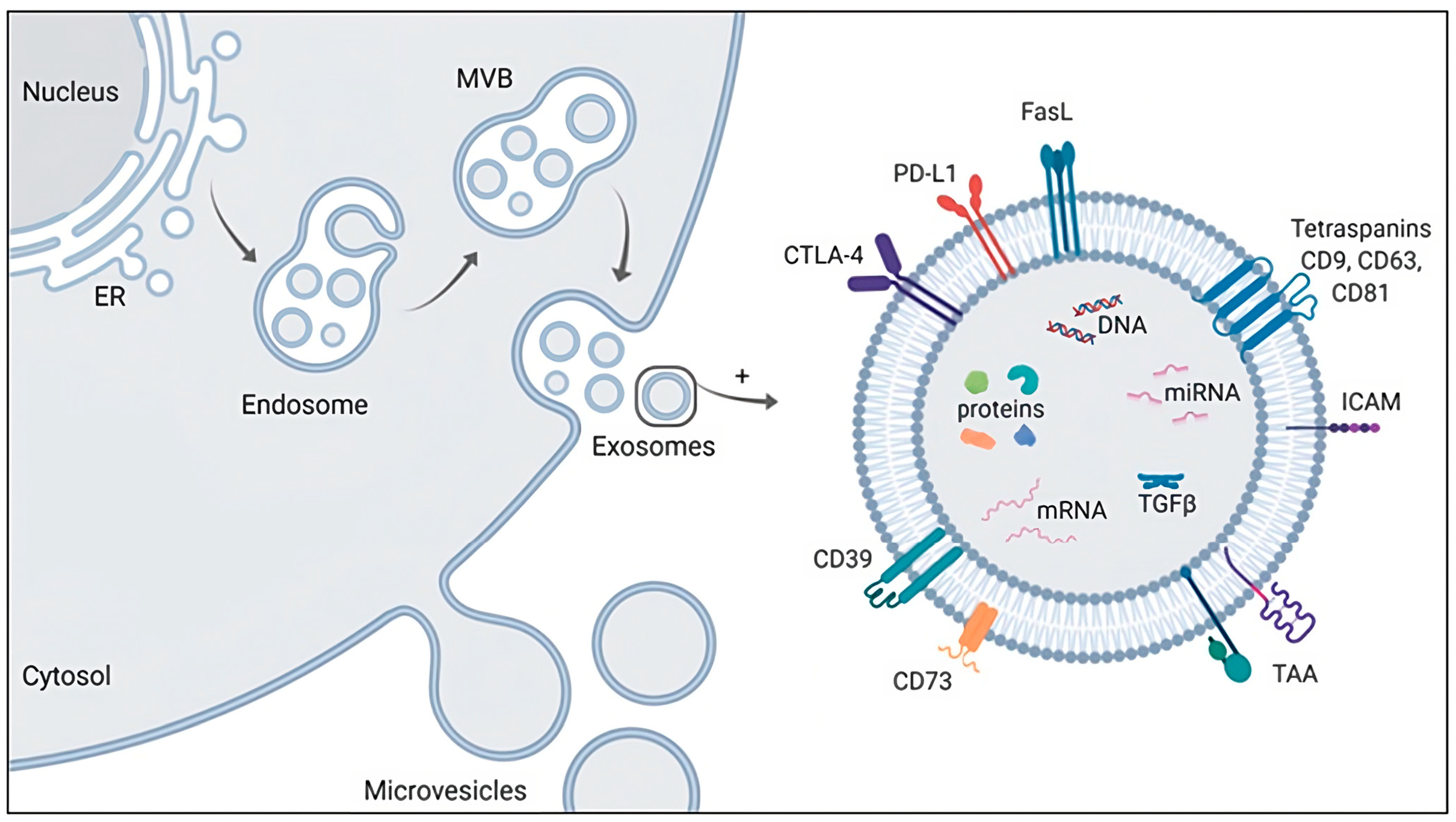 Pharmaceutics 15 01953 g009