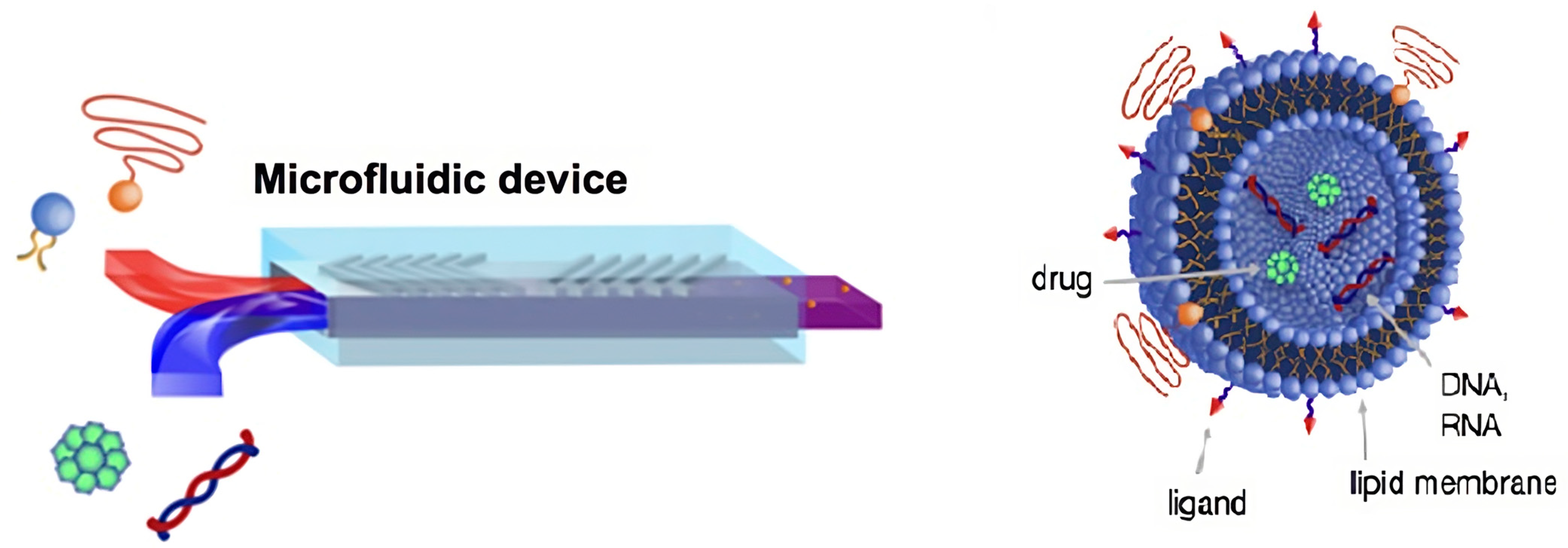 Pharmaceutics 15 01953 g014