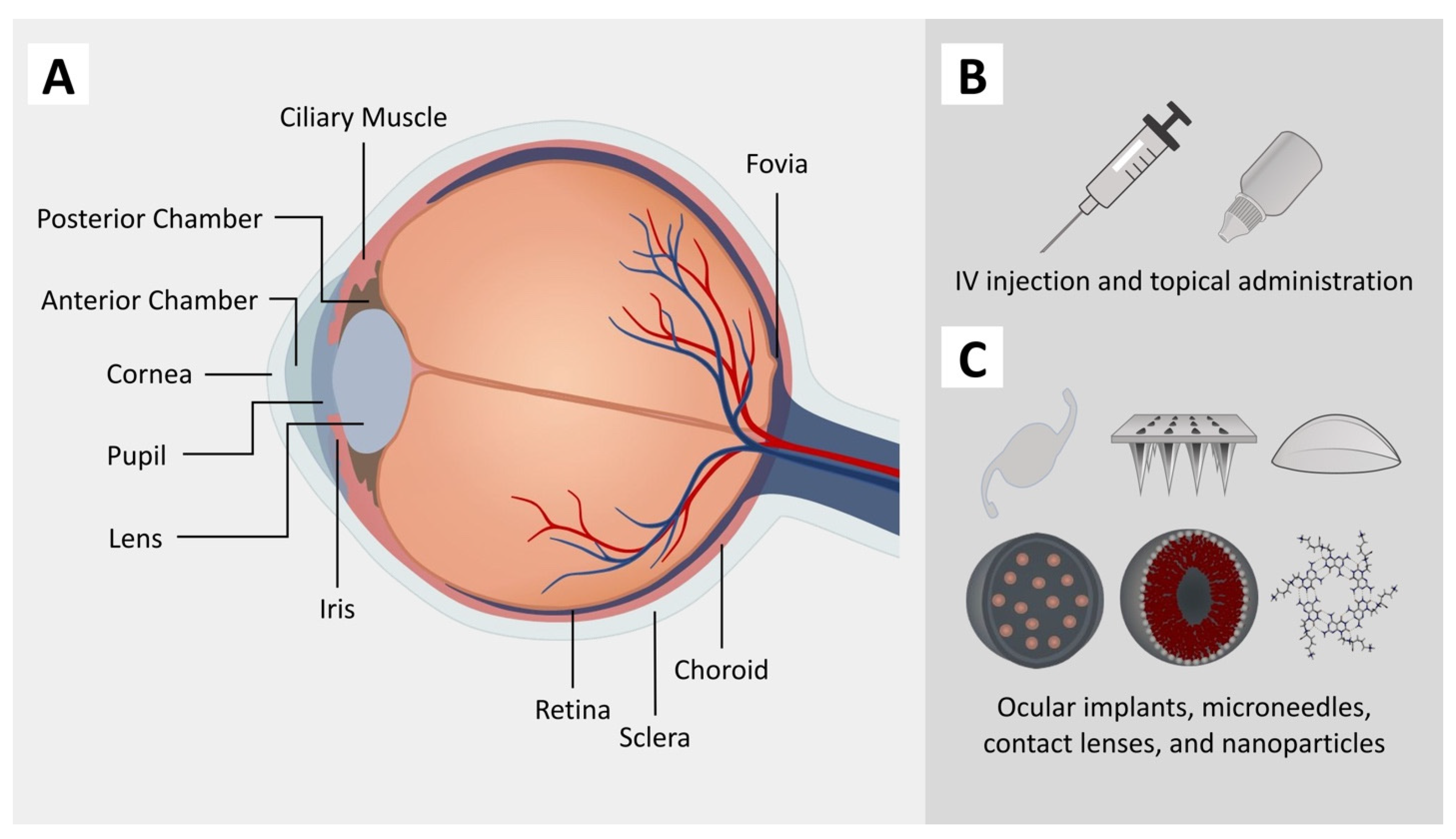 Pharmaceutics 15 01959 g001