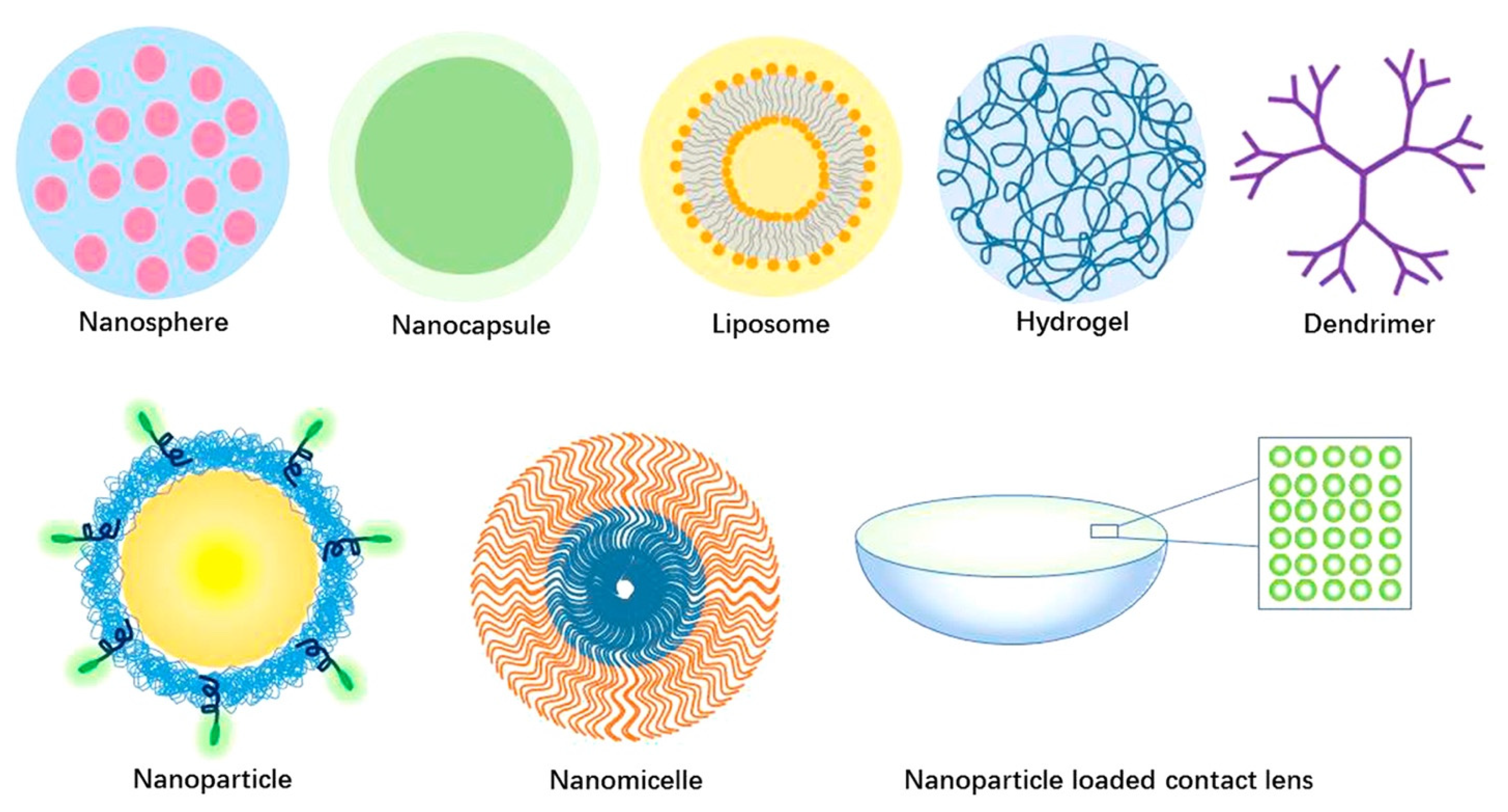 Pharmaceutics 15 01959 g002