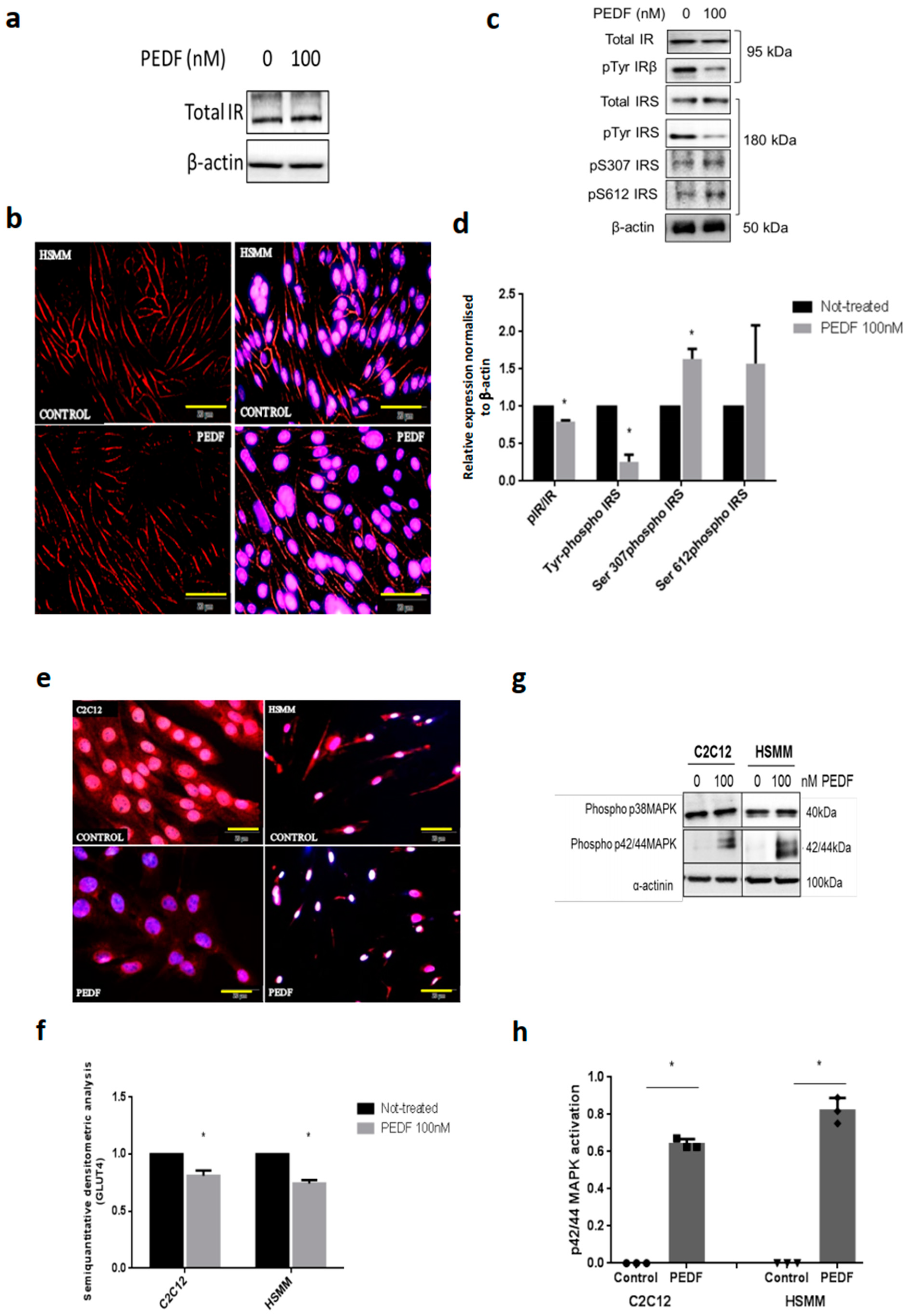 Pharmaceutics 15 01960 g001