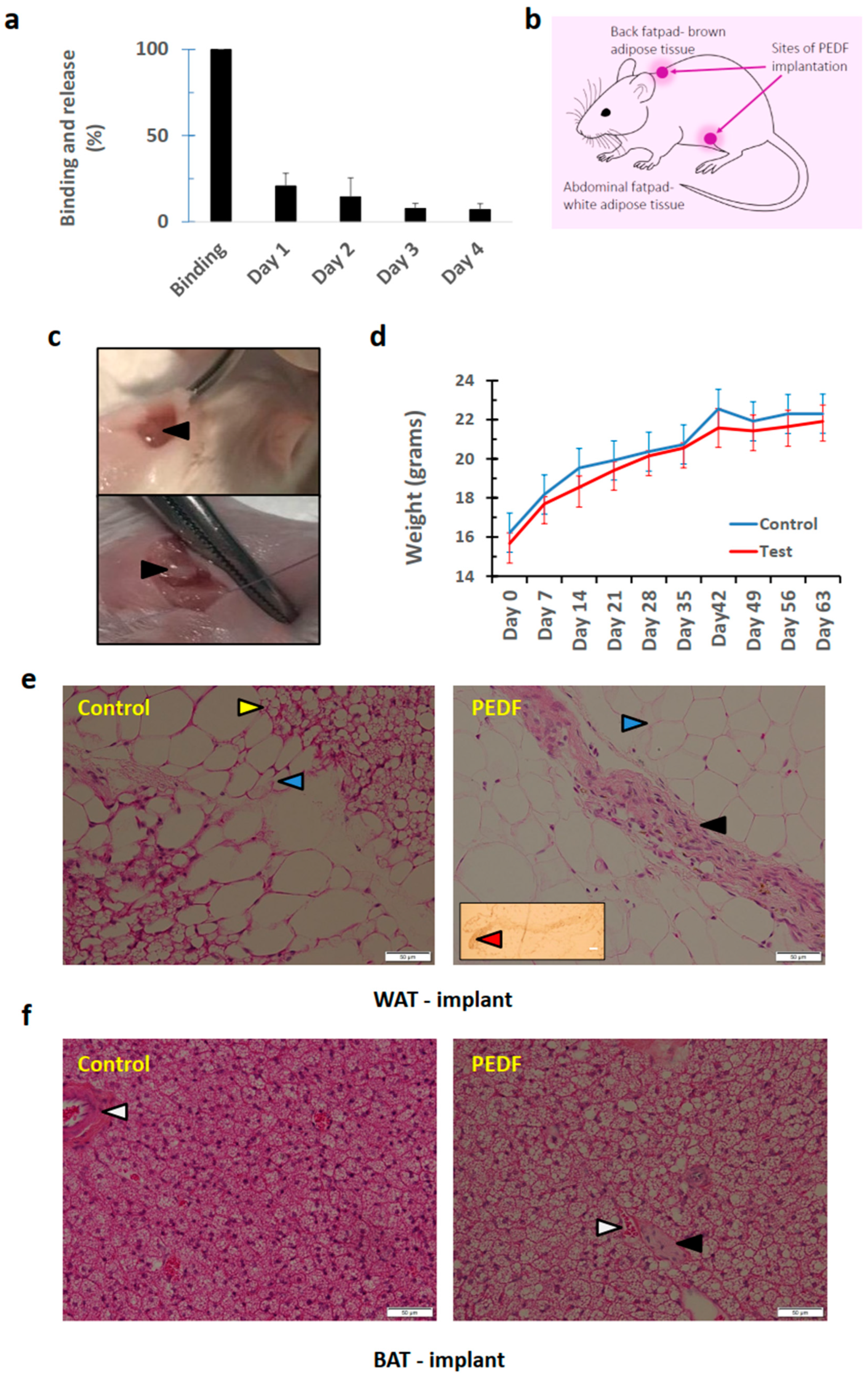 Pharmaceutics 15 01960 g003