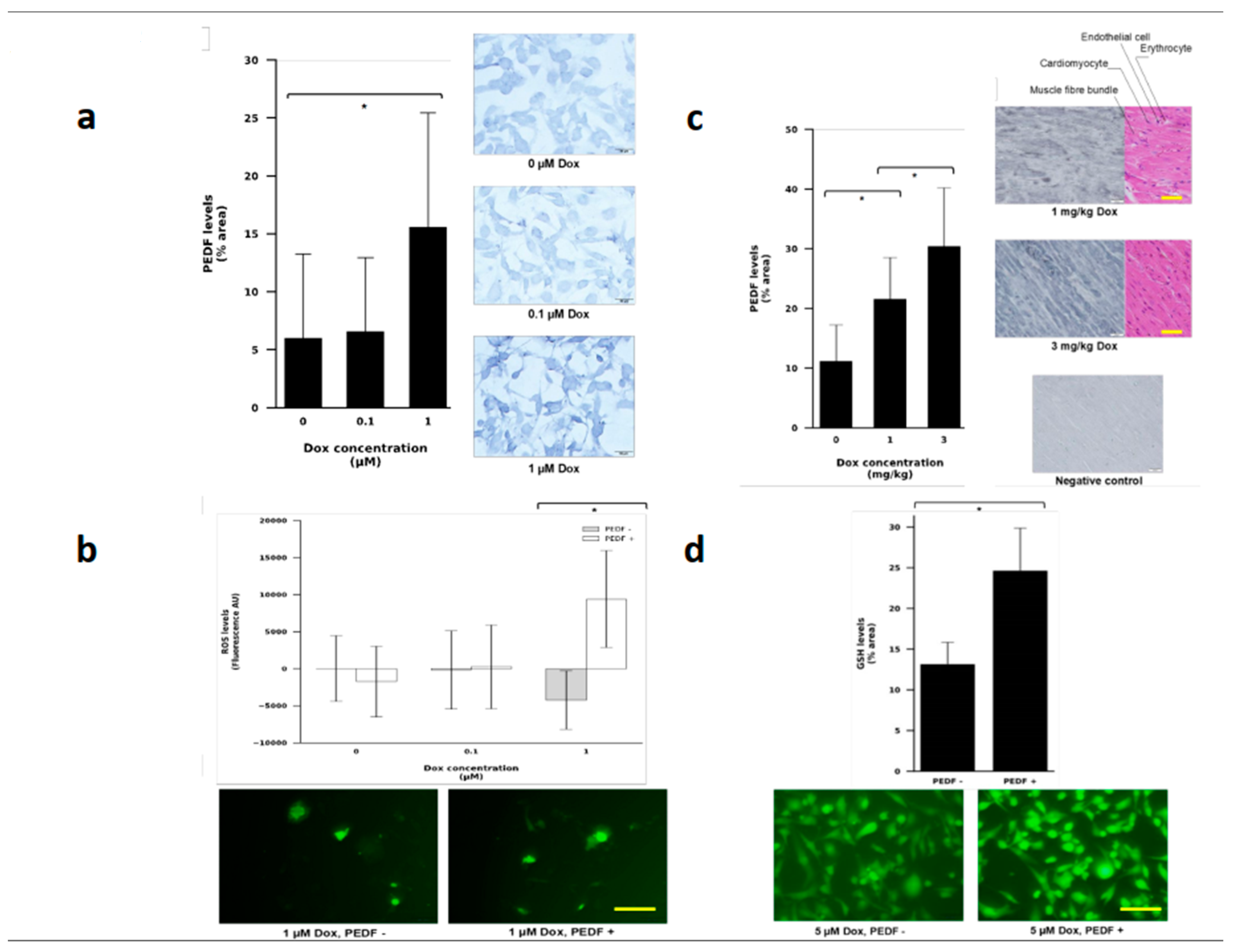 Pharmaceutics 15 01960 g004
