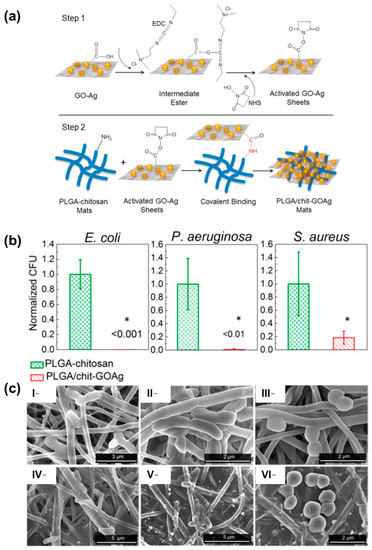 Pharmaceutics 15 01964 g008